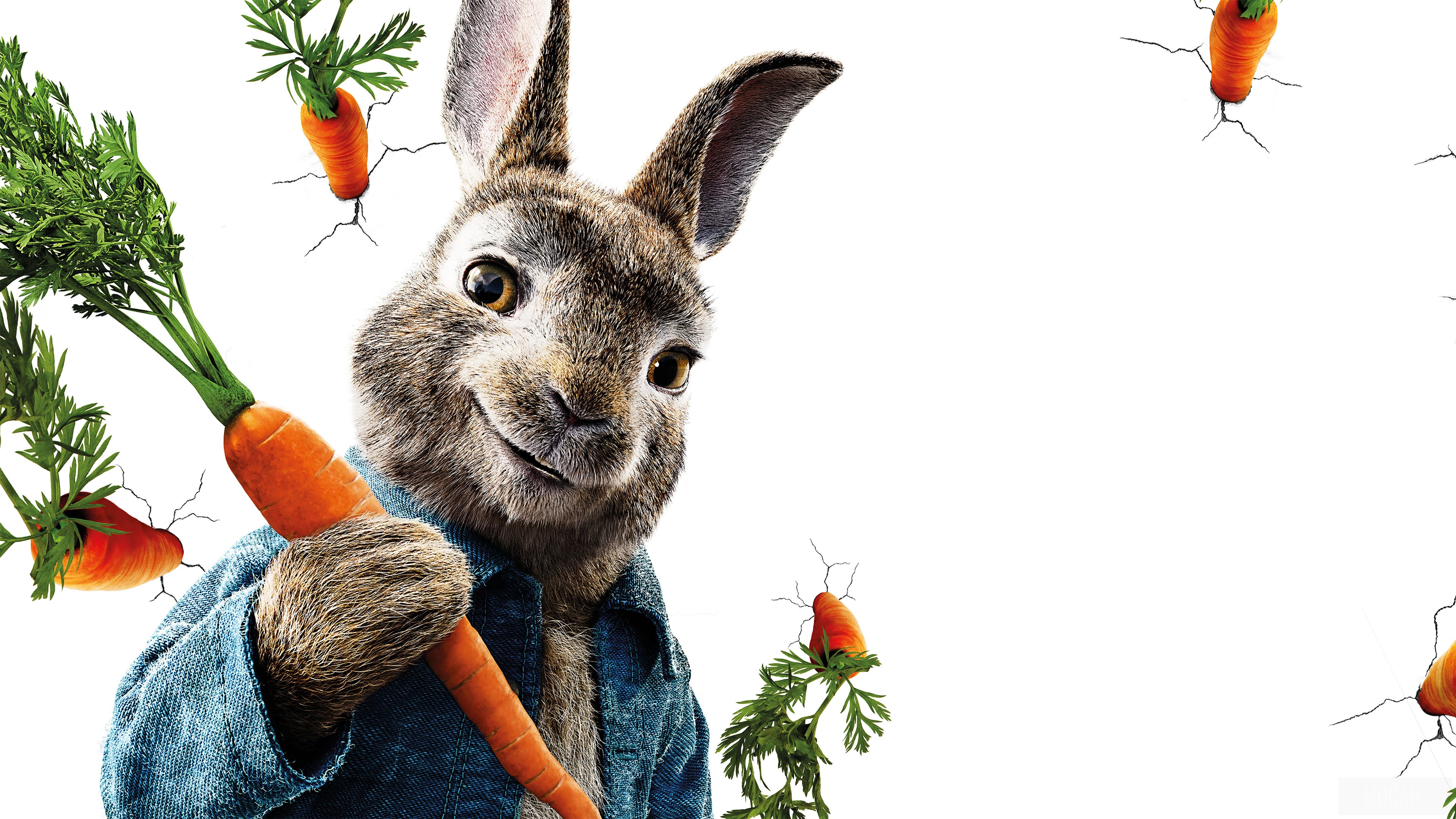Peter Rabbit holding a carrot HD Wallpaper