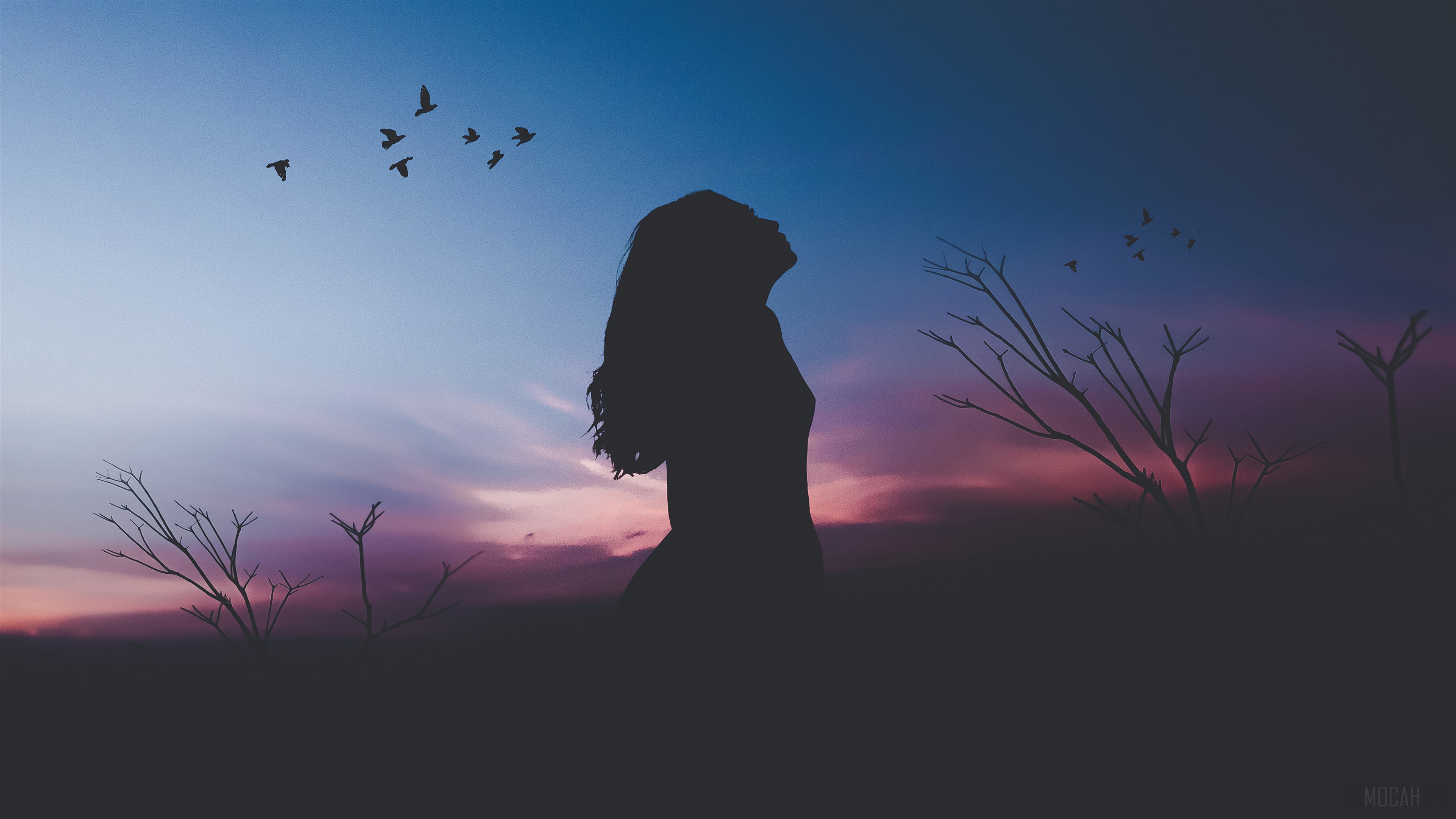 Silhouette of a woman looking up at birds during sunset HD Wallpaper
