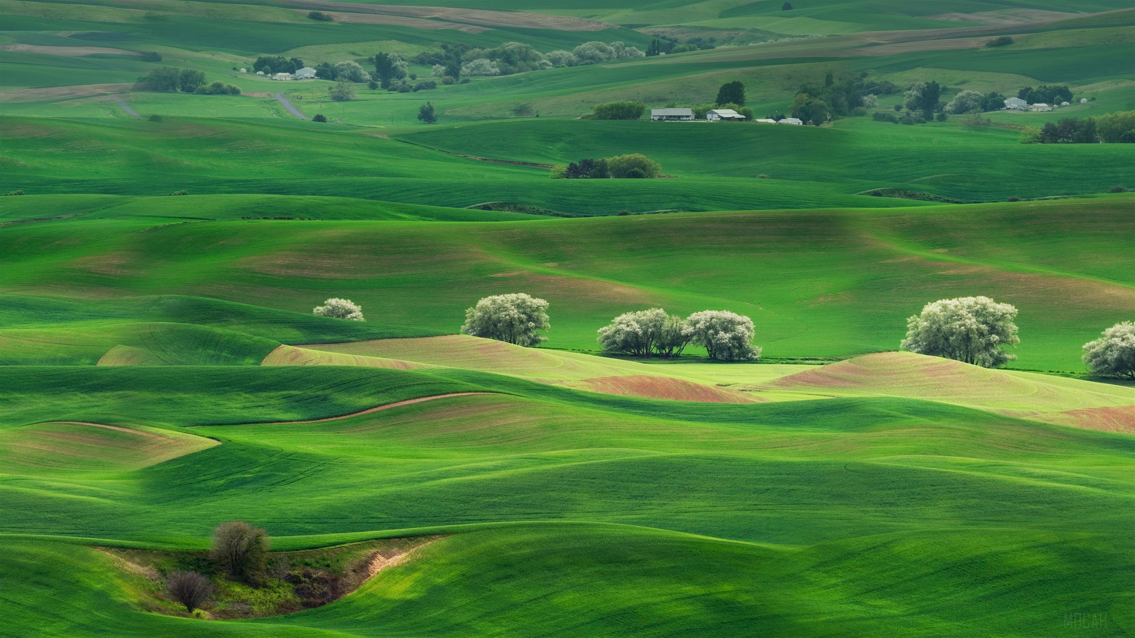 Rolling Green Hills Landscape 4K HD Wallpaper