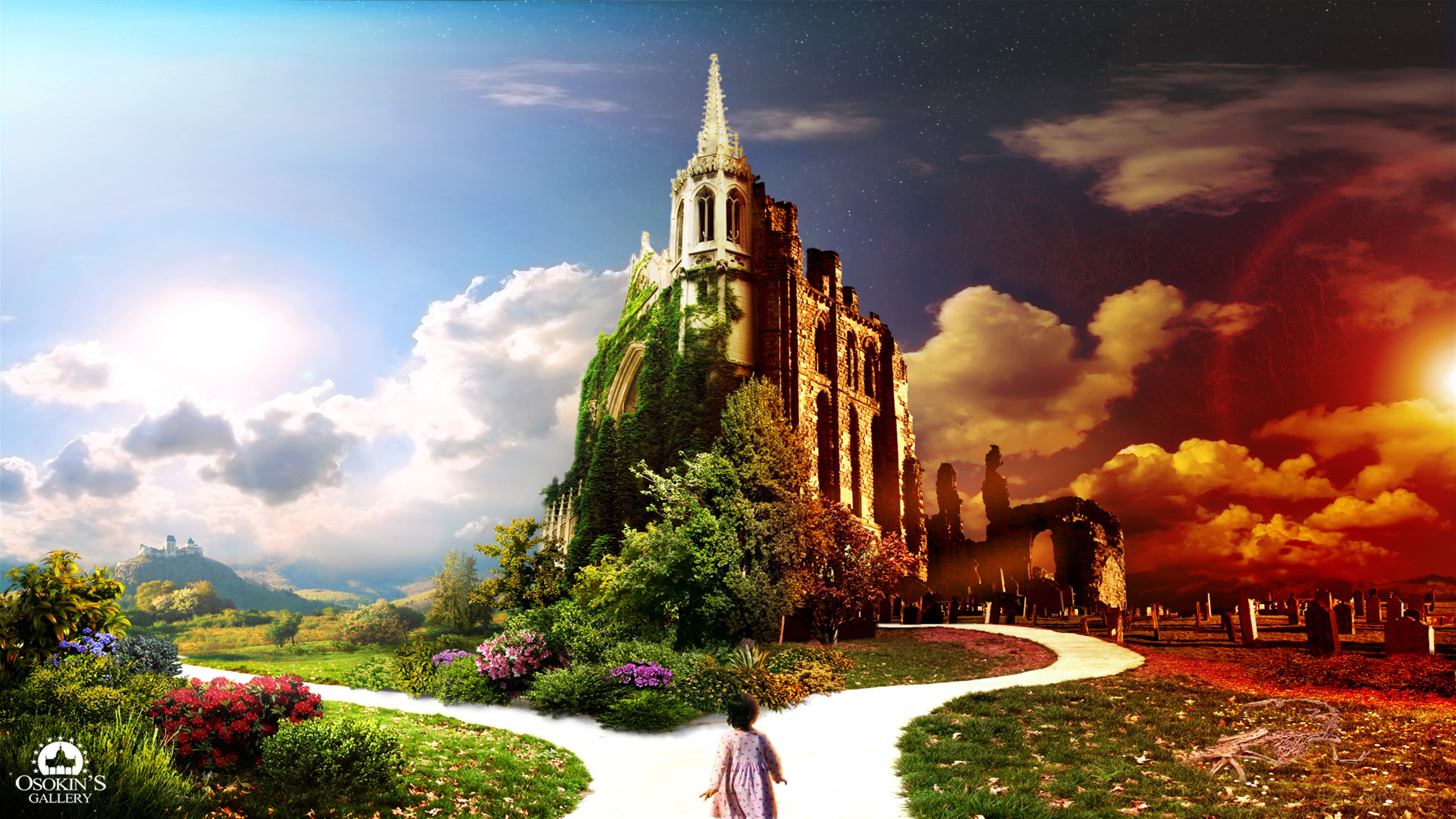 Choice Way HD Wallpaper