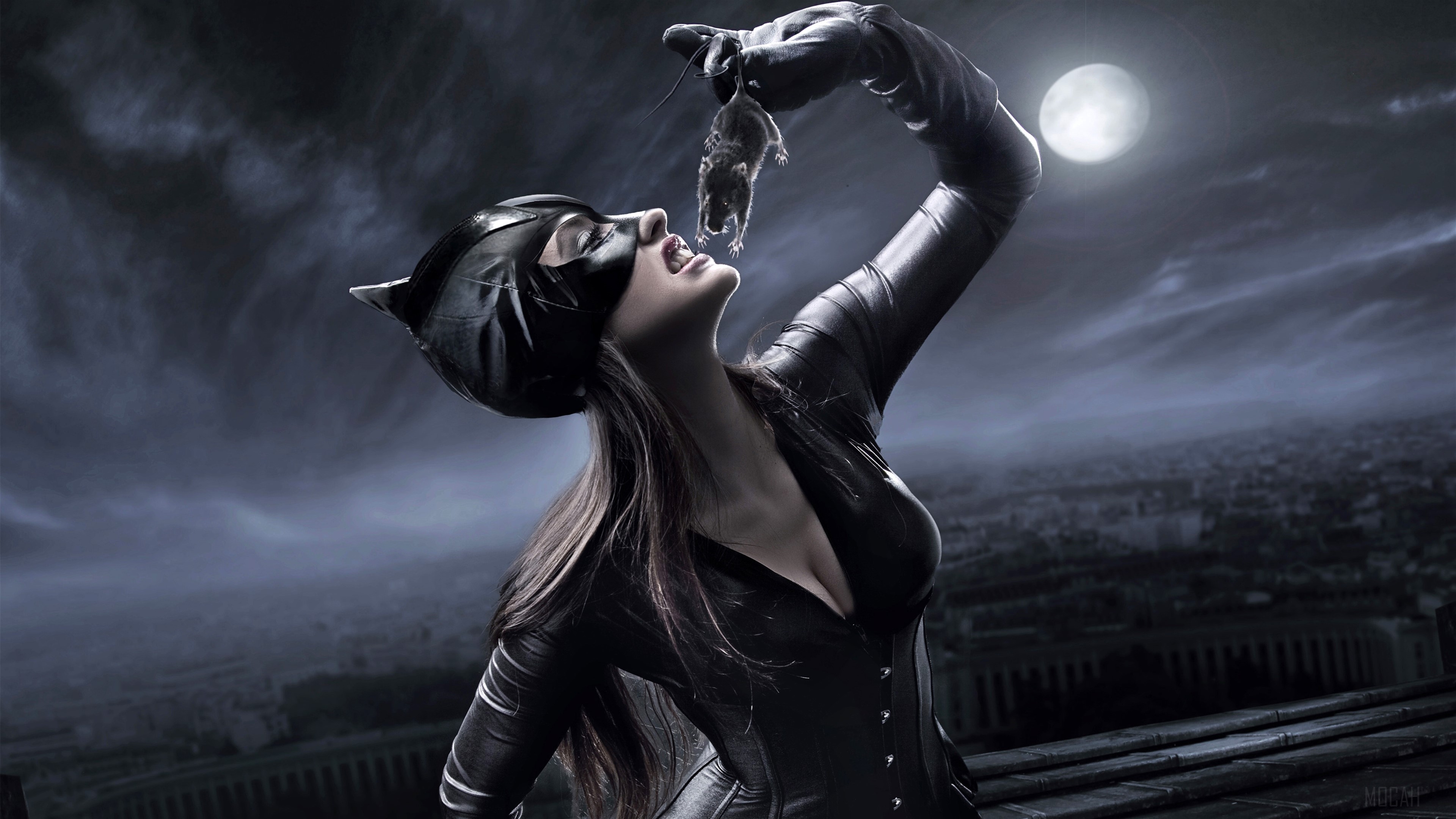 Catwoman holding a mouse HD Wallpaper