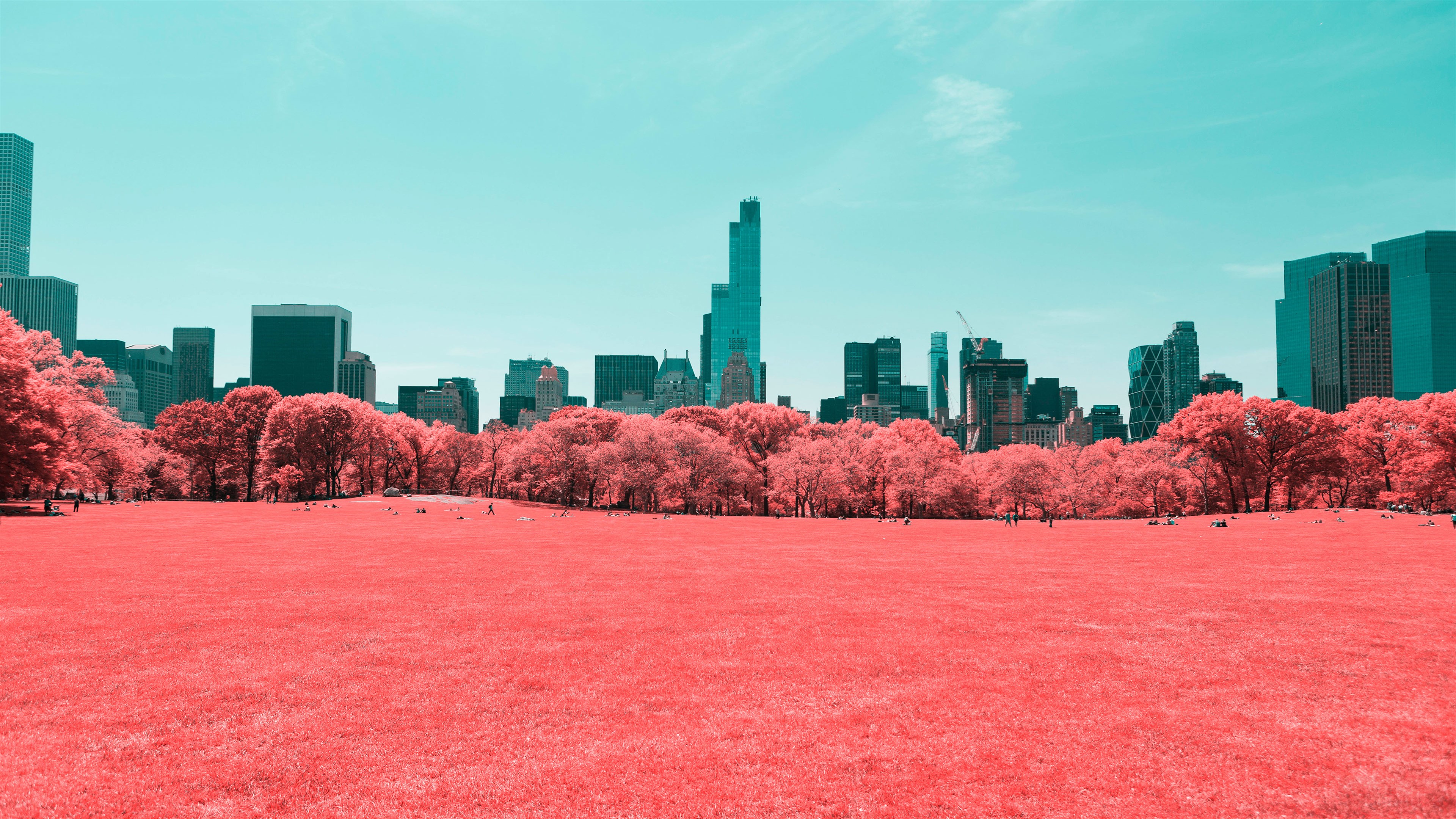 NYC Central Park Infrared HD Wallpaper