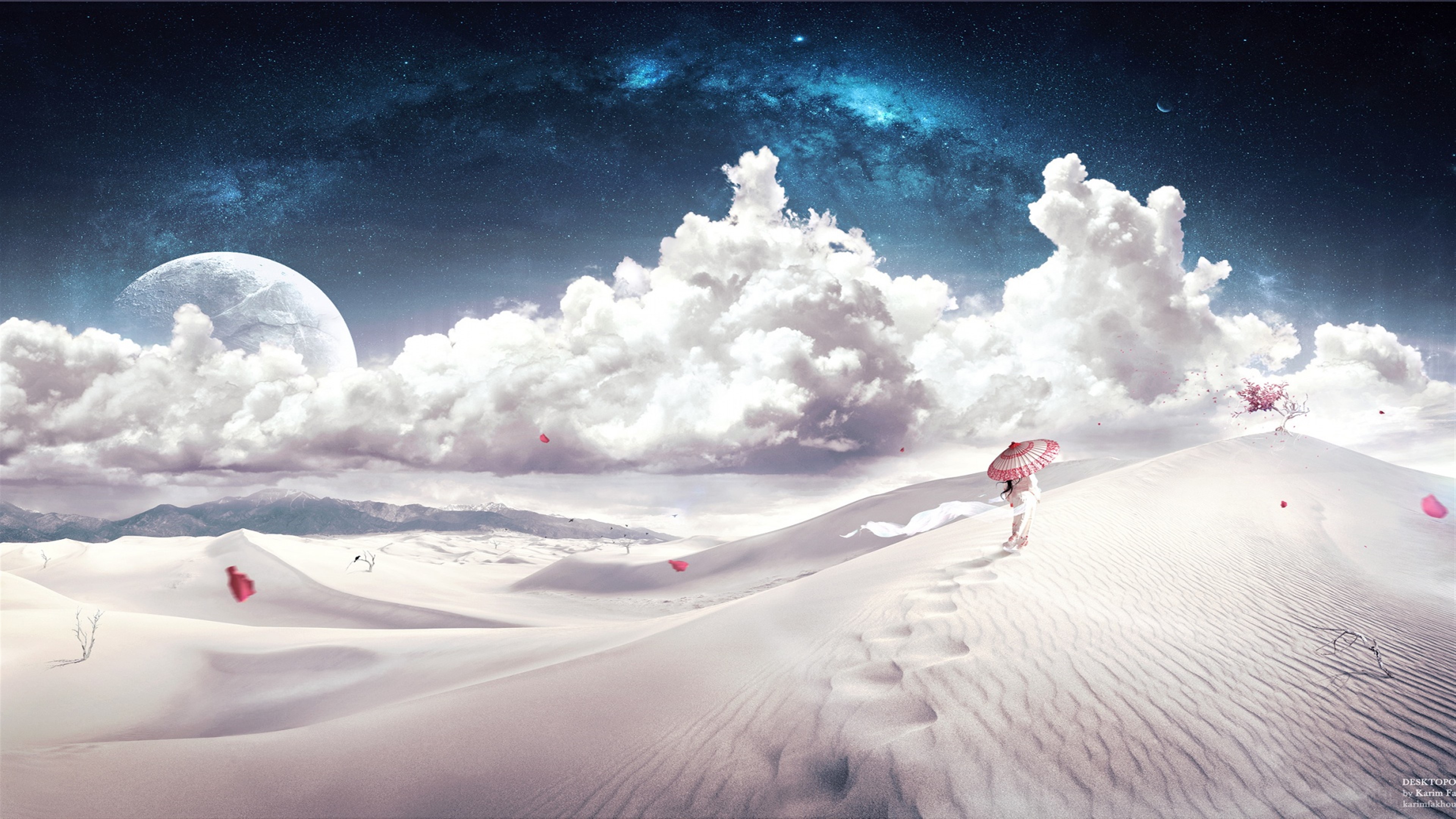 Time Flies HD Wallpaper