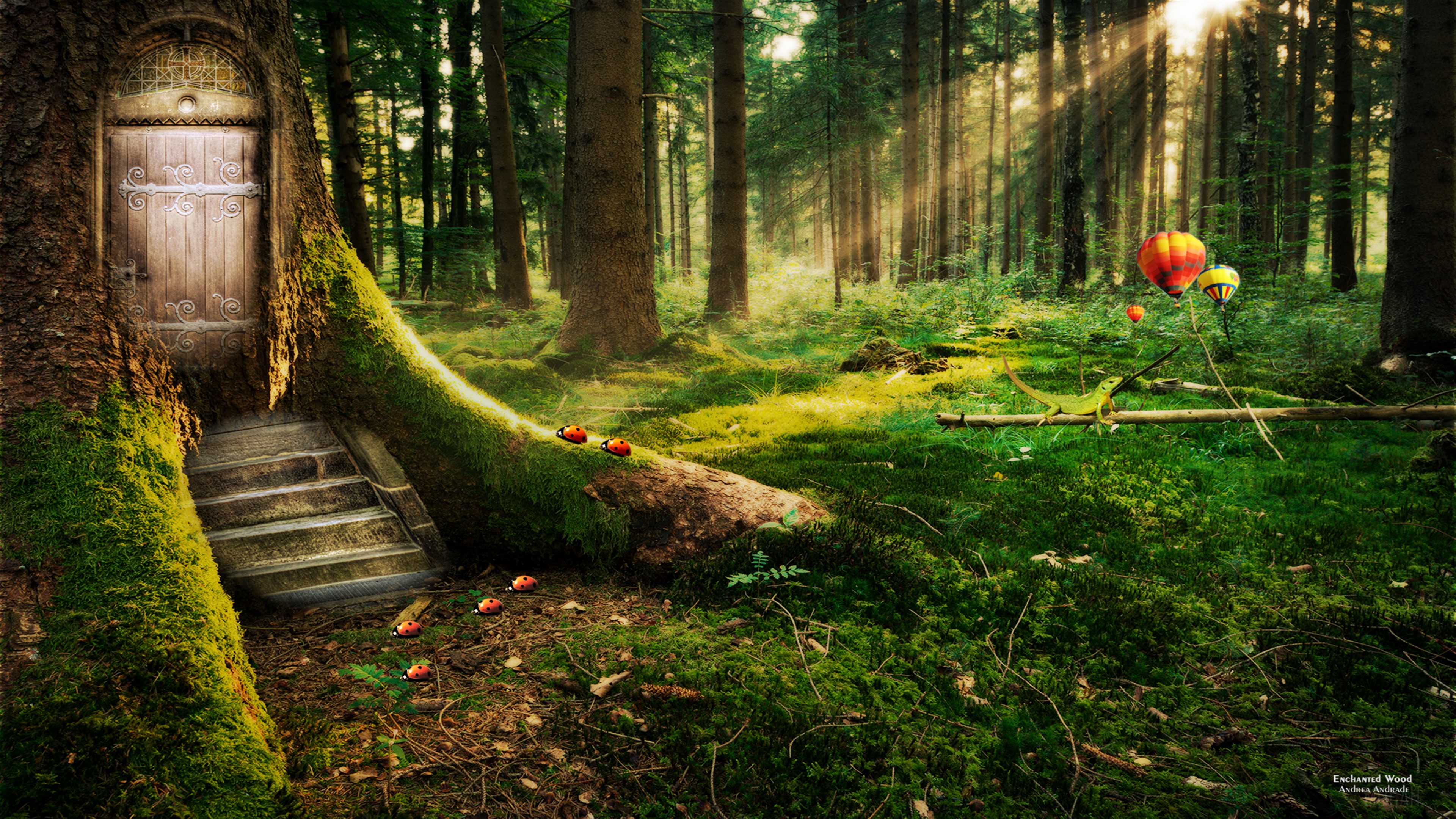 Enchanted Wood 4K HD Wallpaper