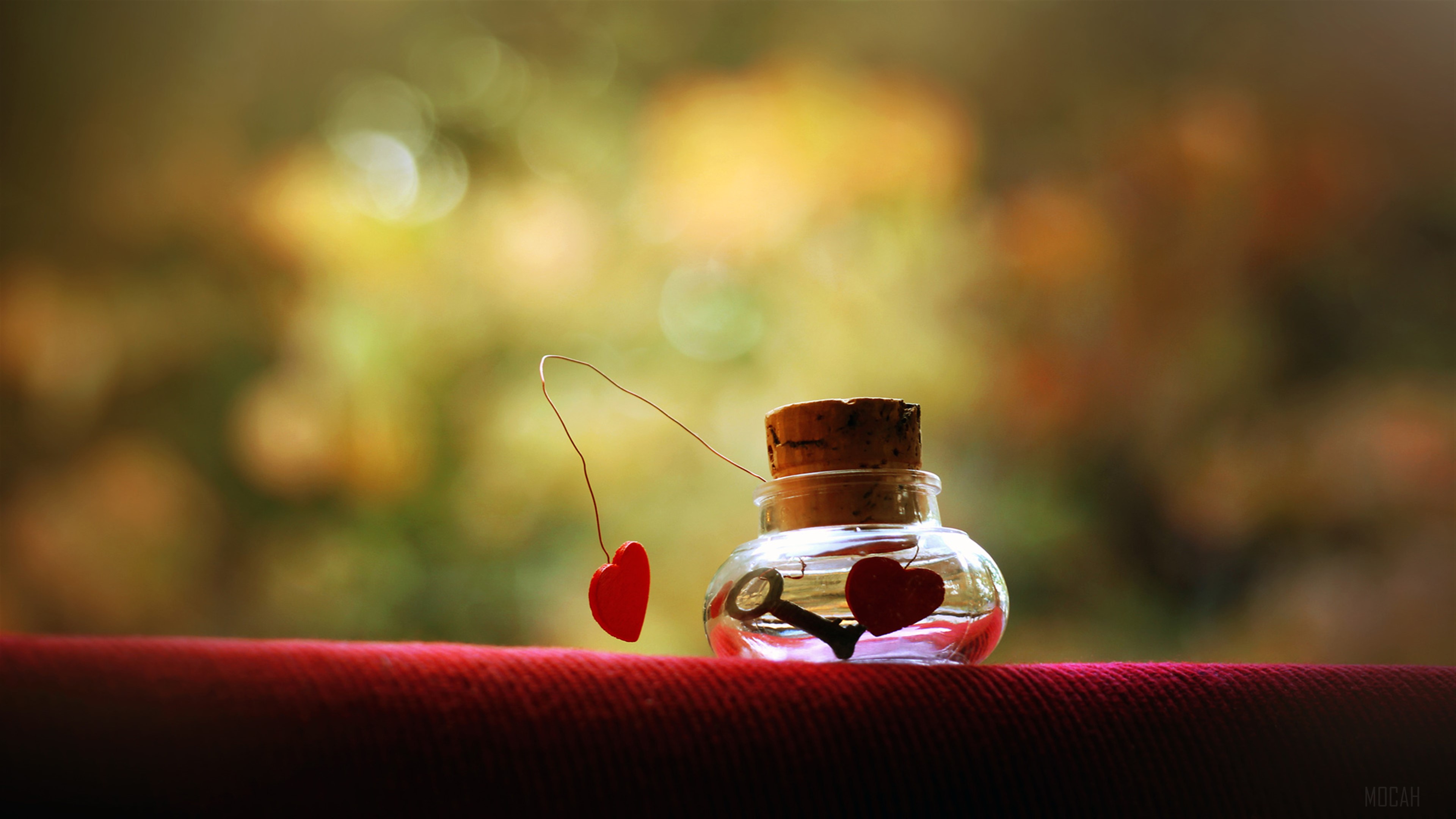 Love Prison HD Wallpaper