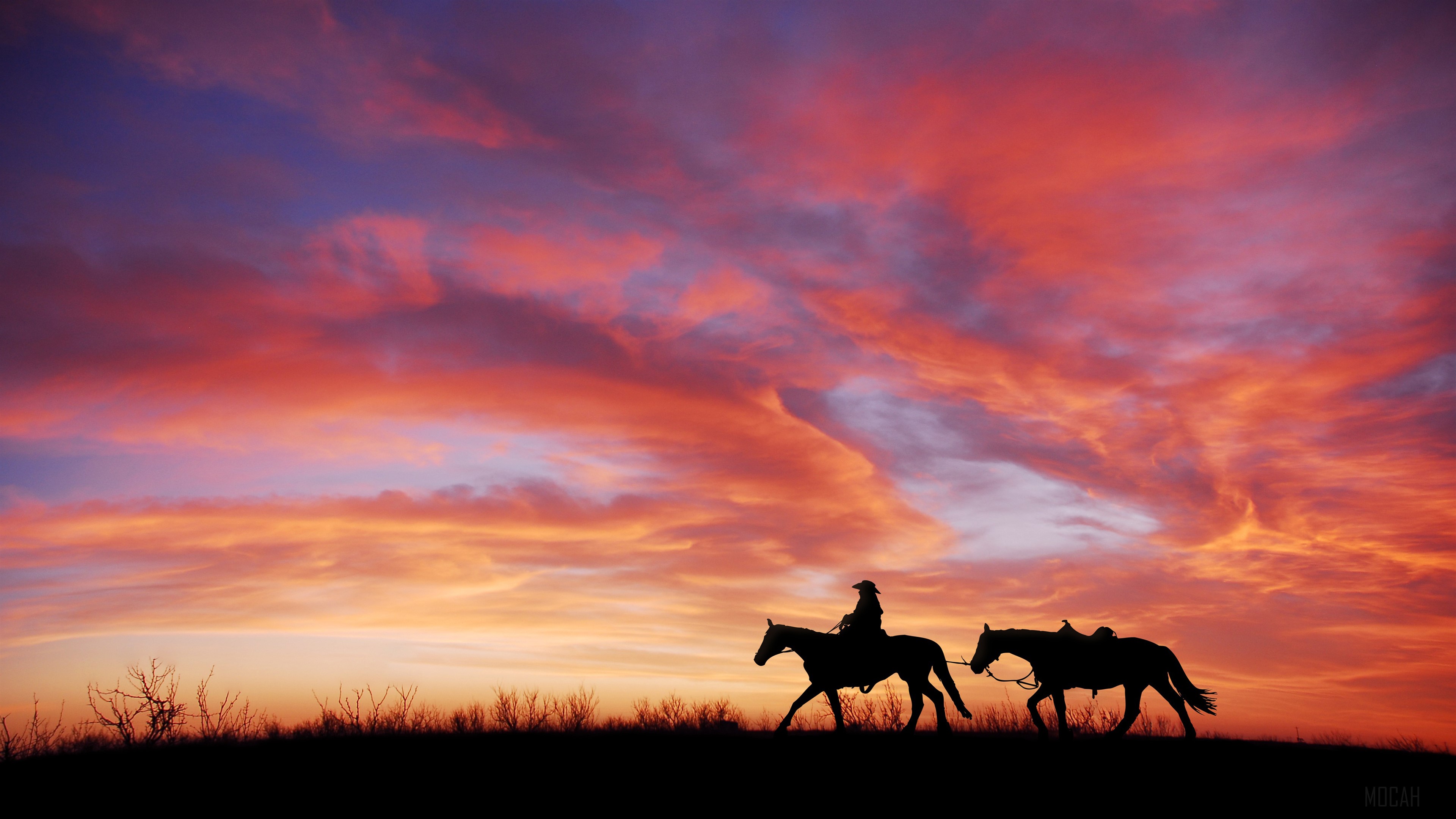 Cowboy and horses silhouetted against a colorful sunset HD Wallpaper