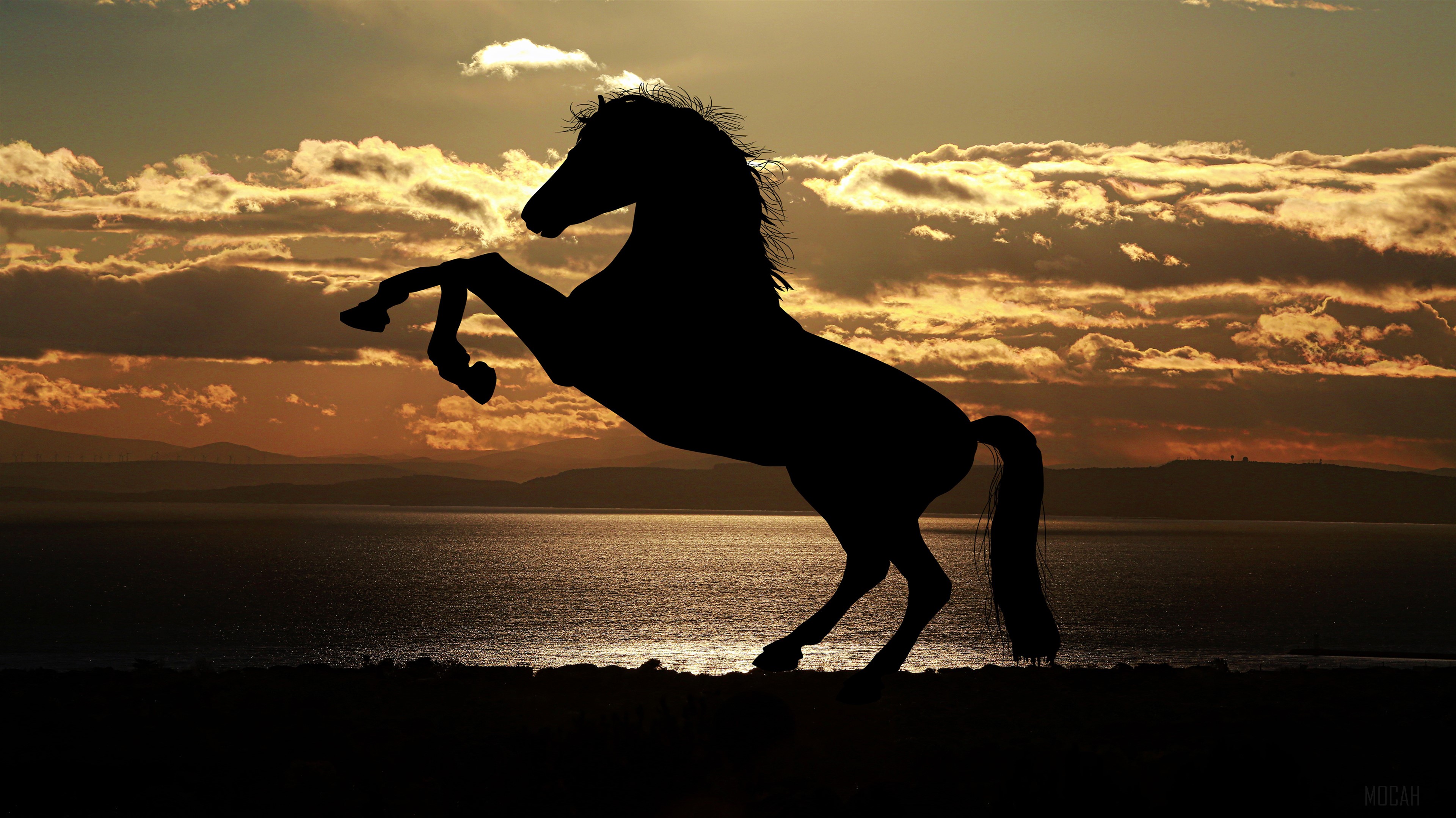Horse Silhouette at Sunset HD Wallpaper