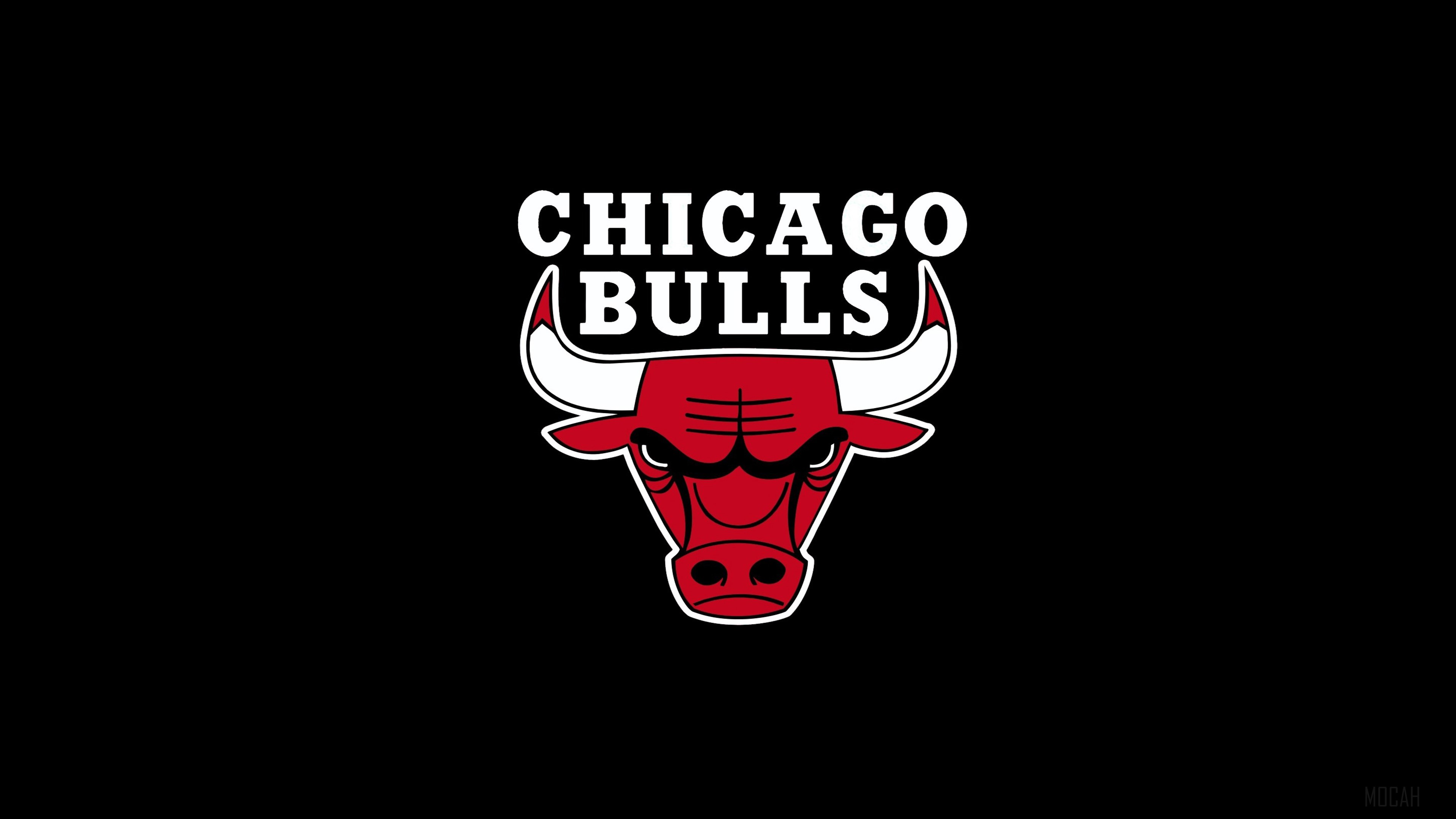 Chicago Bulls logo HD Wallpaper