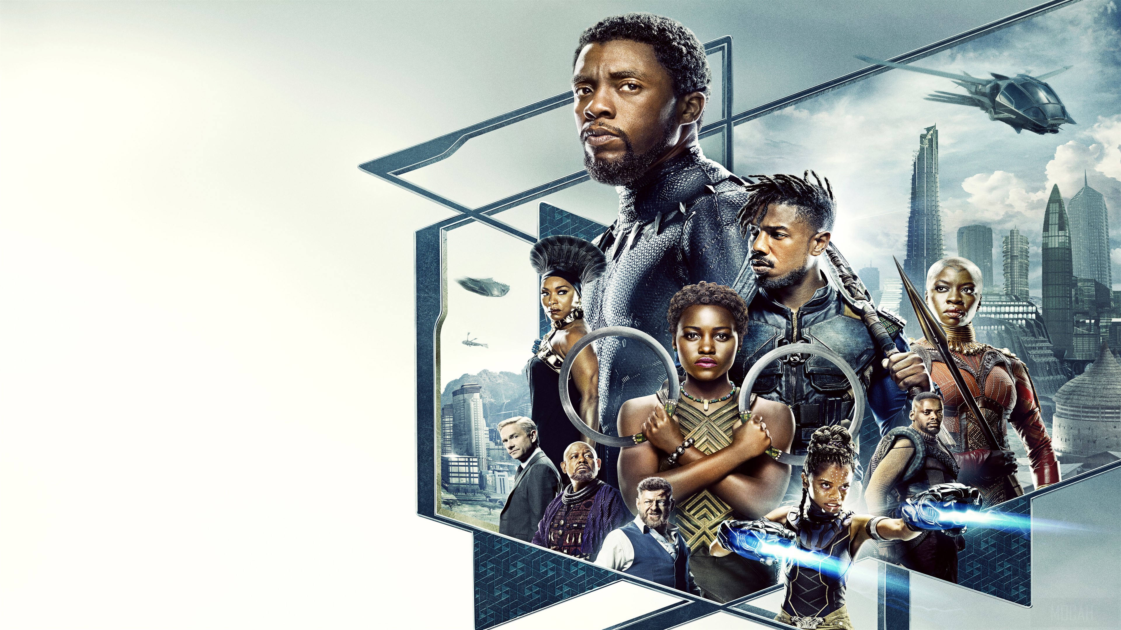 Black Panther 2018 Movie HD Wallpaper