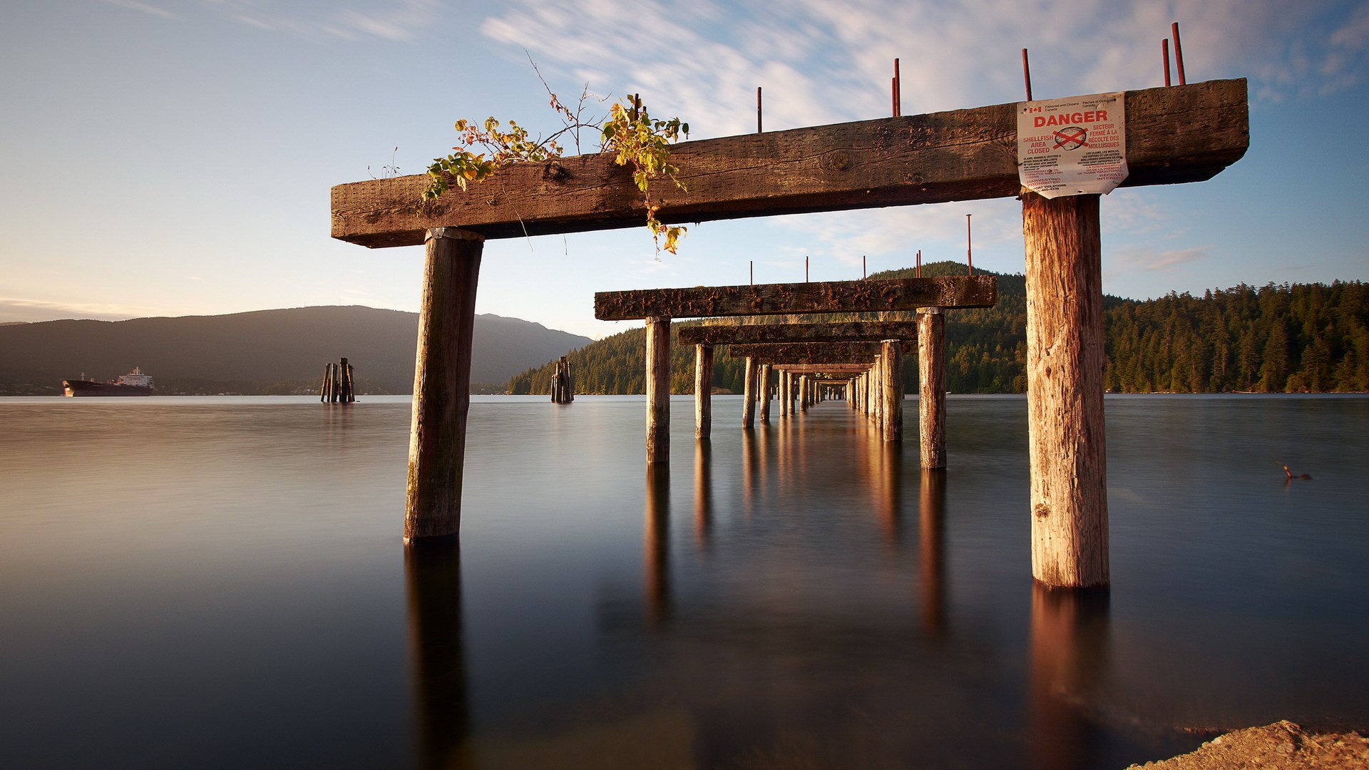 Abandoned pier pilings in calm water with a ship in the distance HD Wallpaper