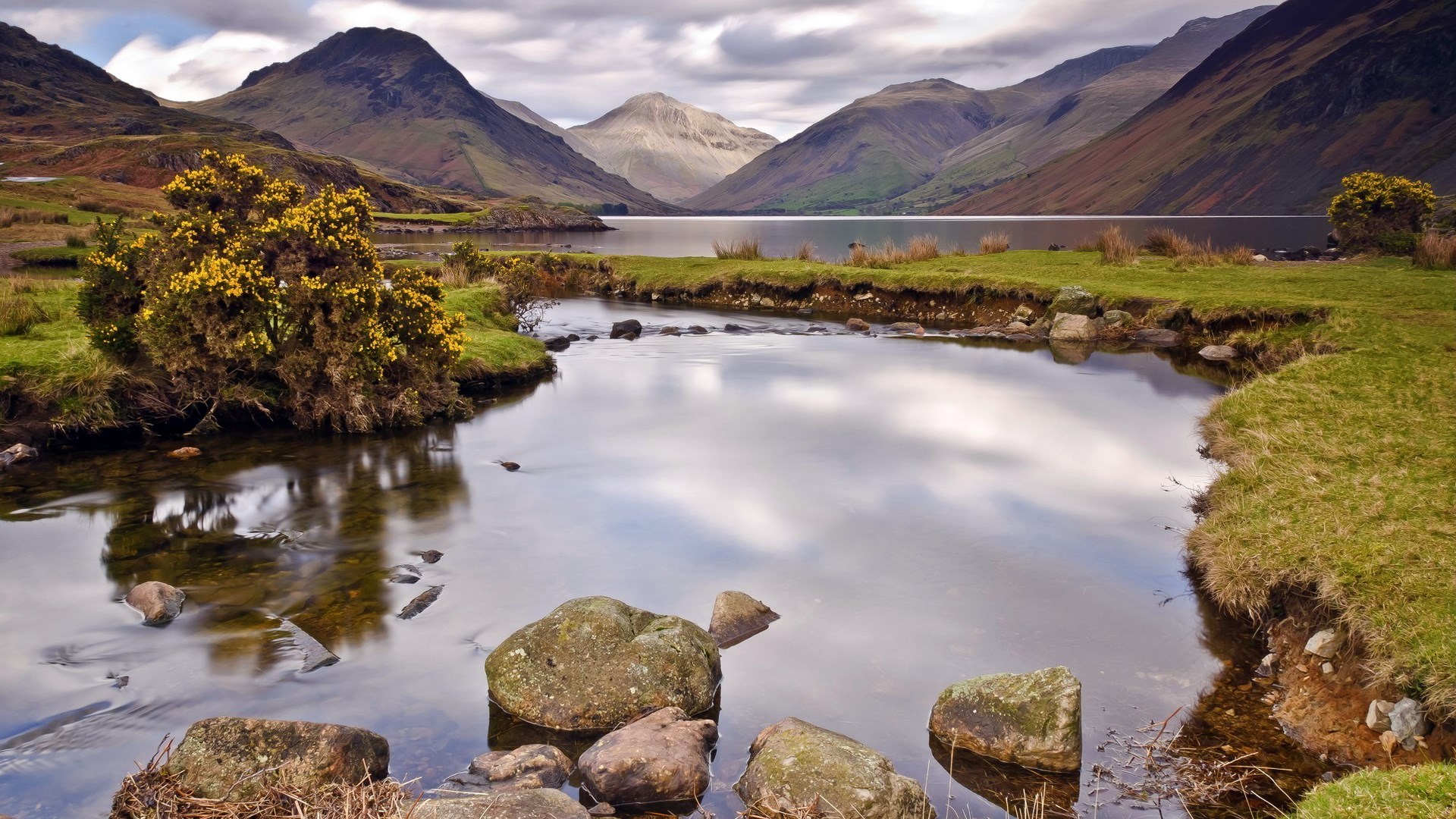 Mountain lake with stream and yellow flowering bush HD Wallpaper