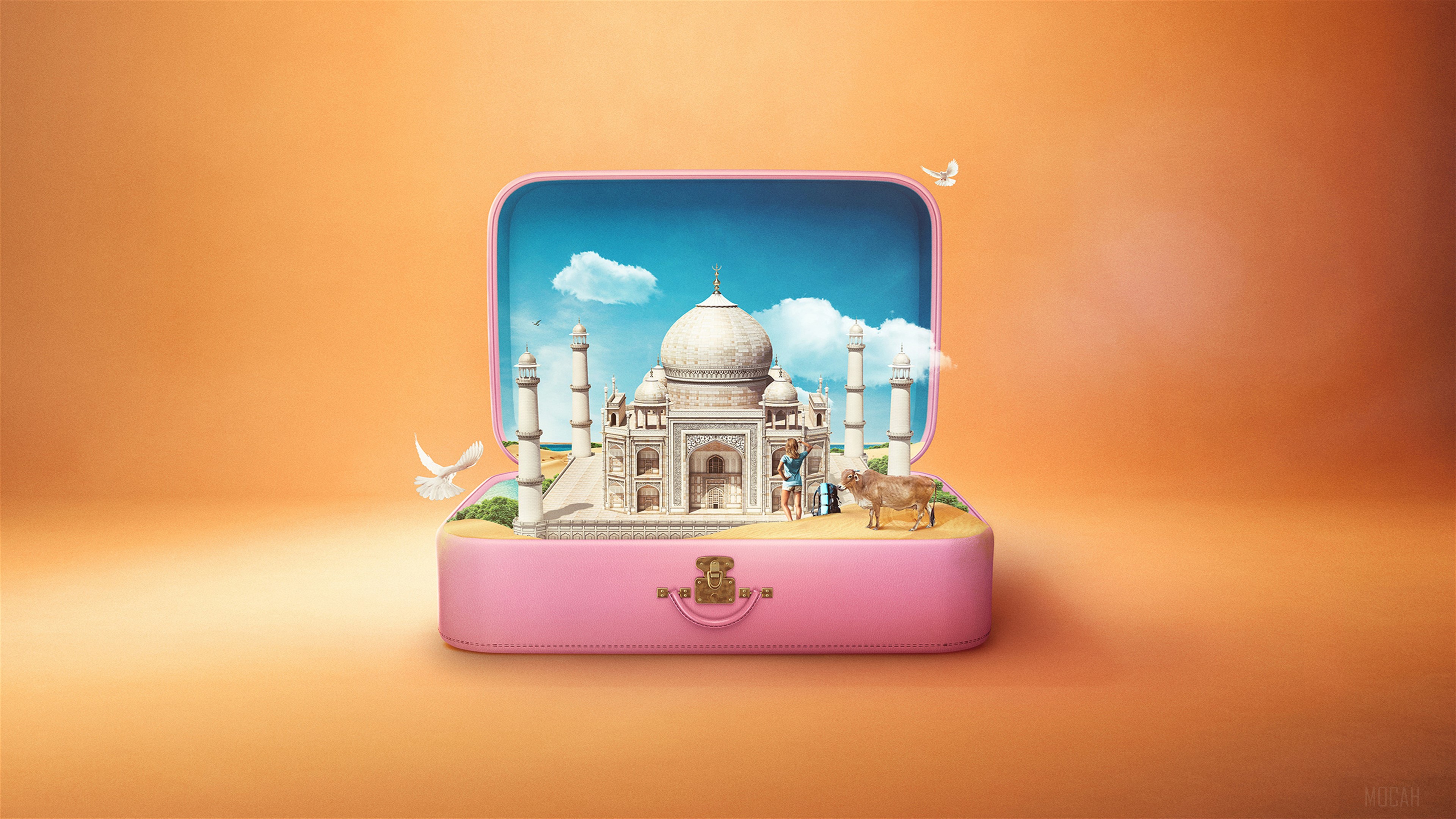 Taj Mahal inside a pink suitcase HD Wallpaper