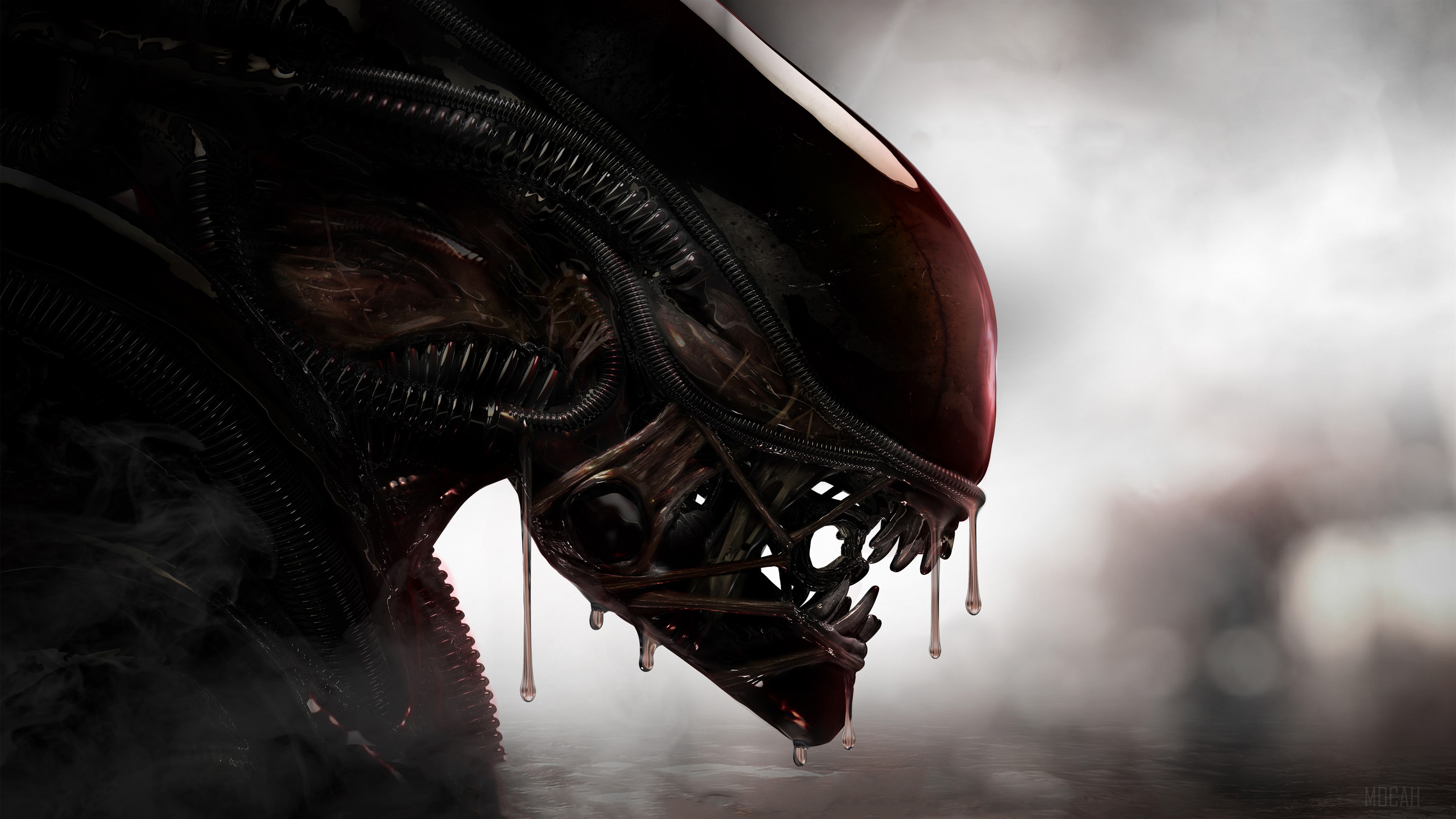 Alien from Alien 4K HD Wallpaper