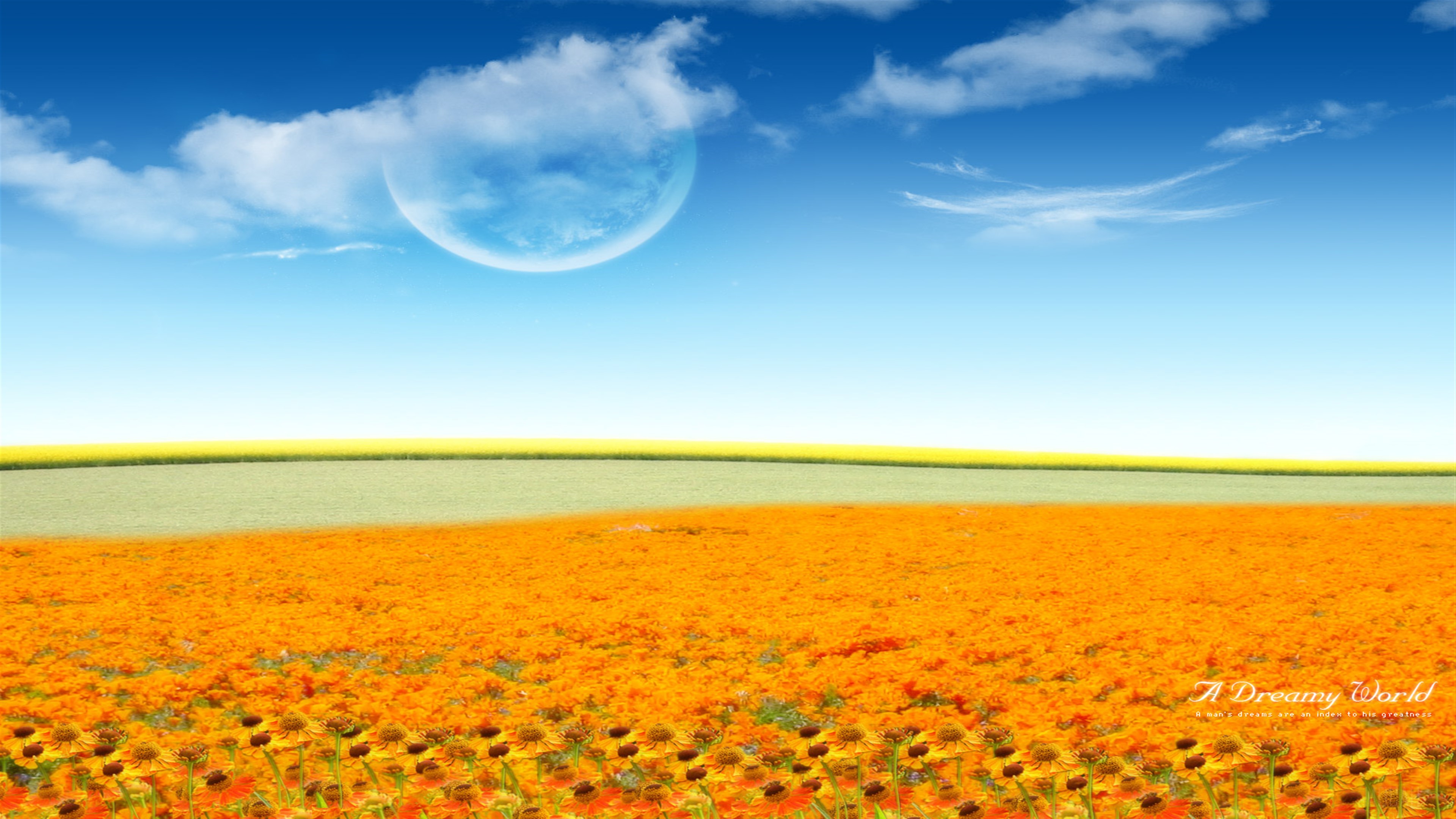 A Dreamy Flower World 4K HD Wallpaper