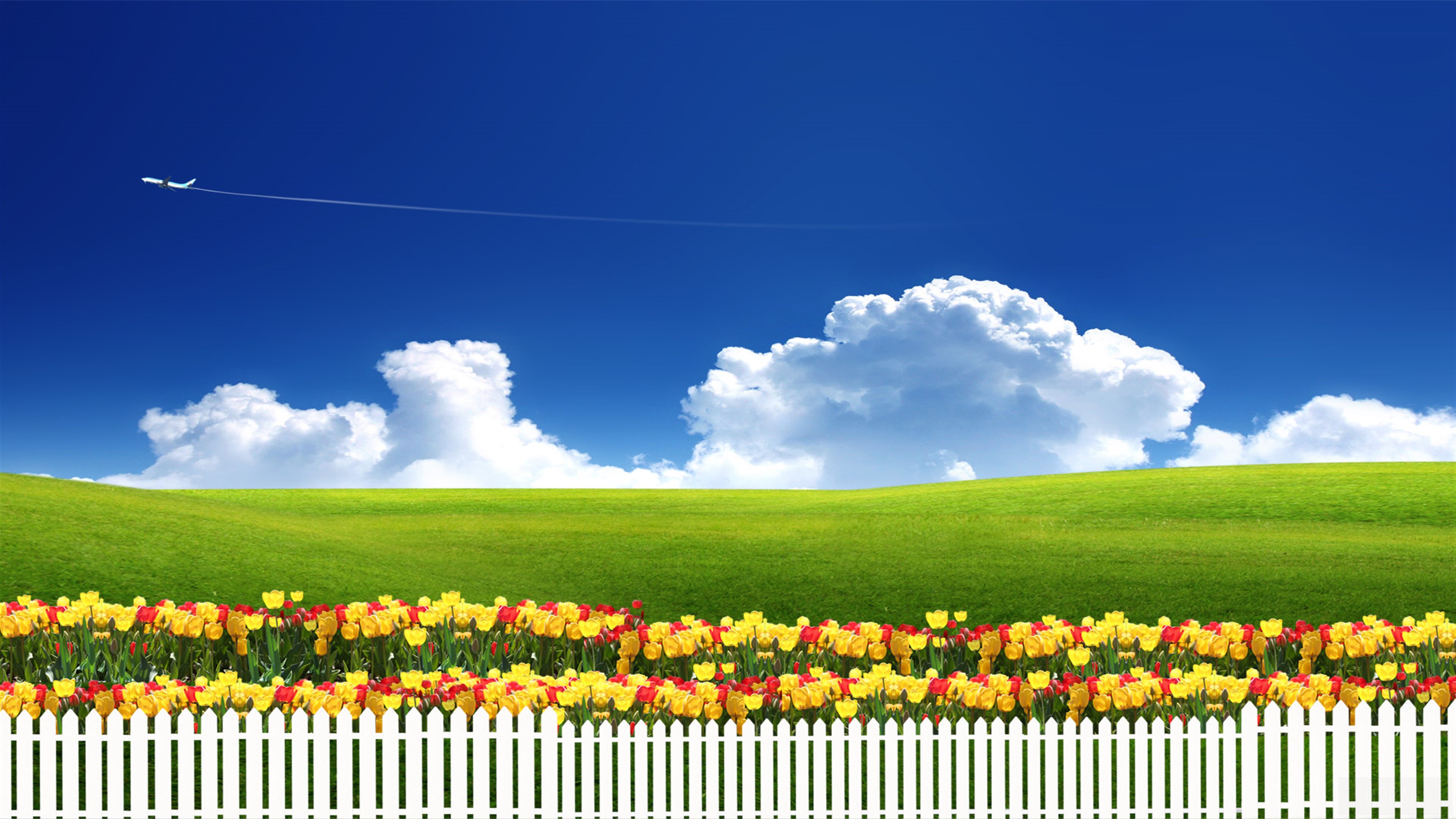 Airplane flying in a clear blue sky over green hills and tulips HD Wallpaper