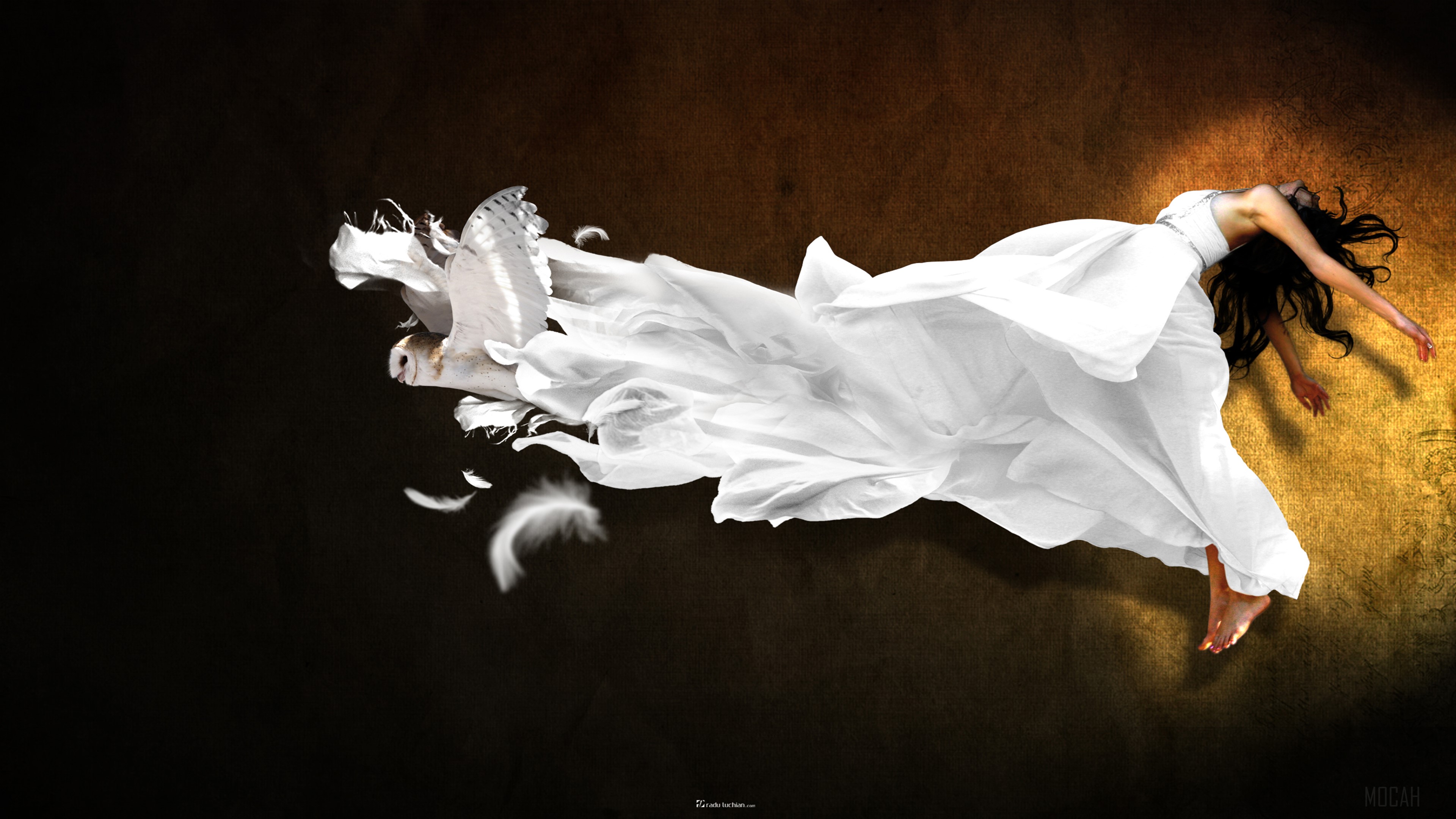 Woman in white dress with owl and feathers 4K HD Wallpaper