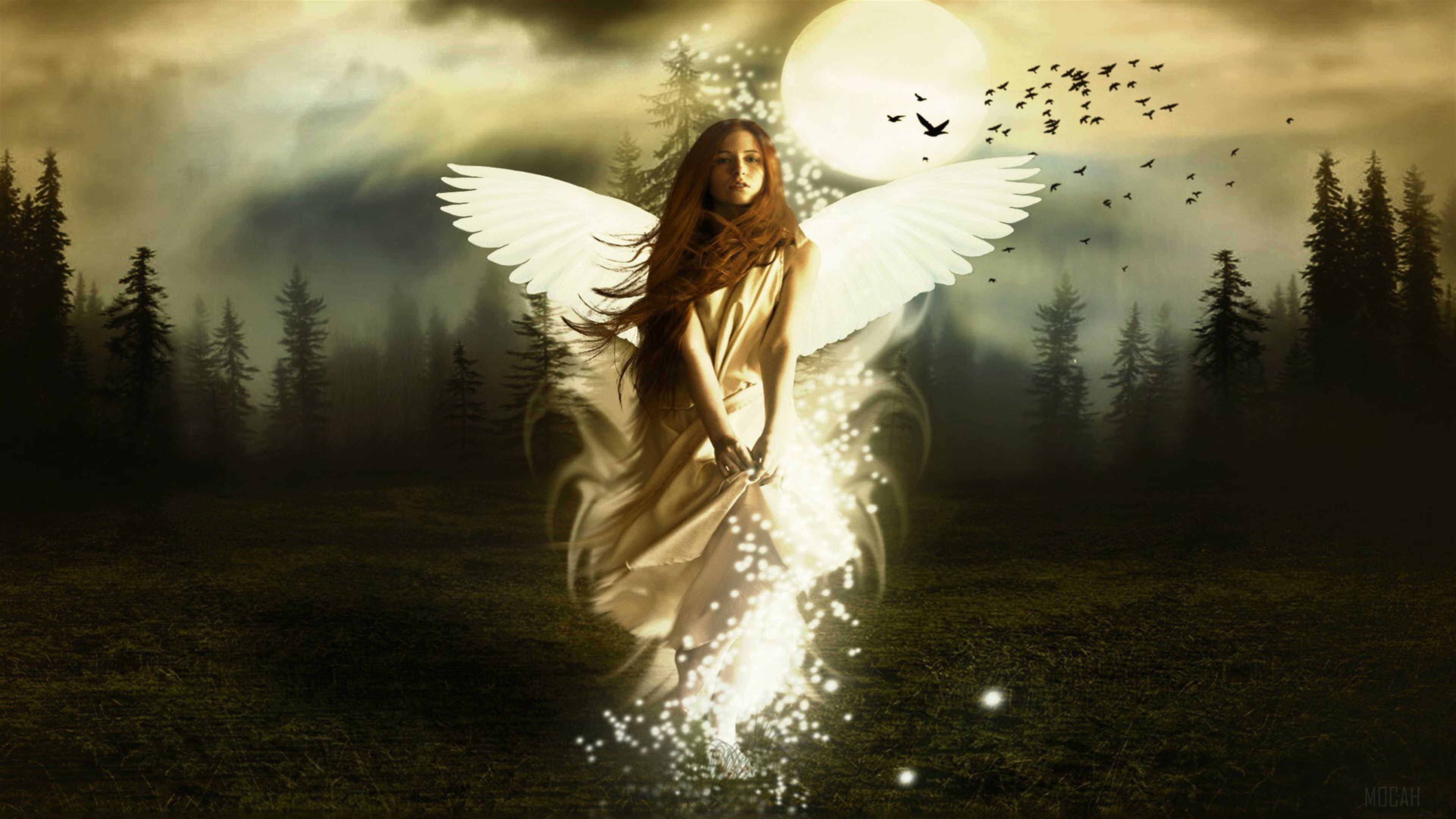 Fantasy Girl with Wings in Forest 4K HD Wallpaper
