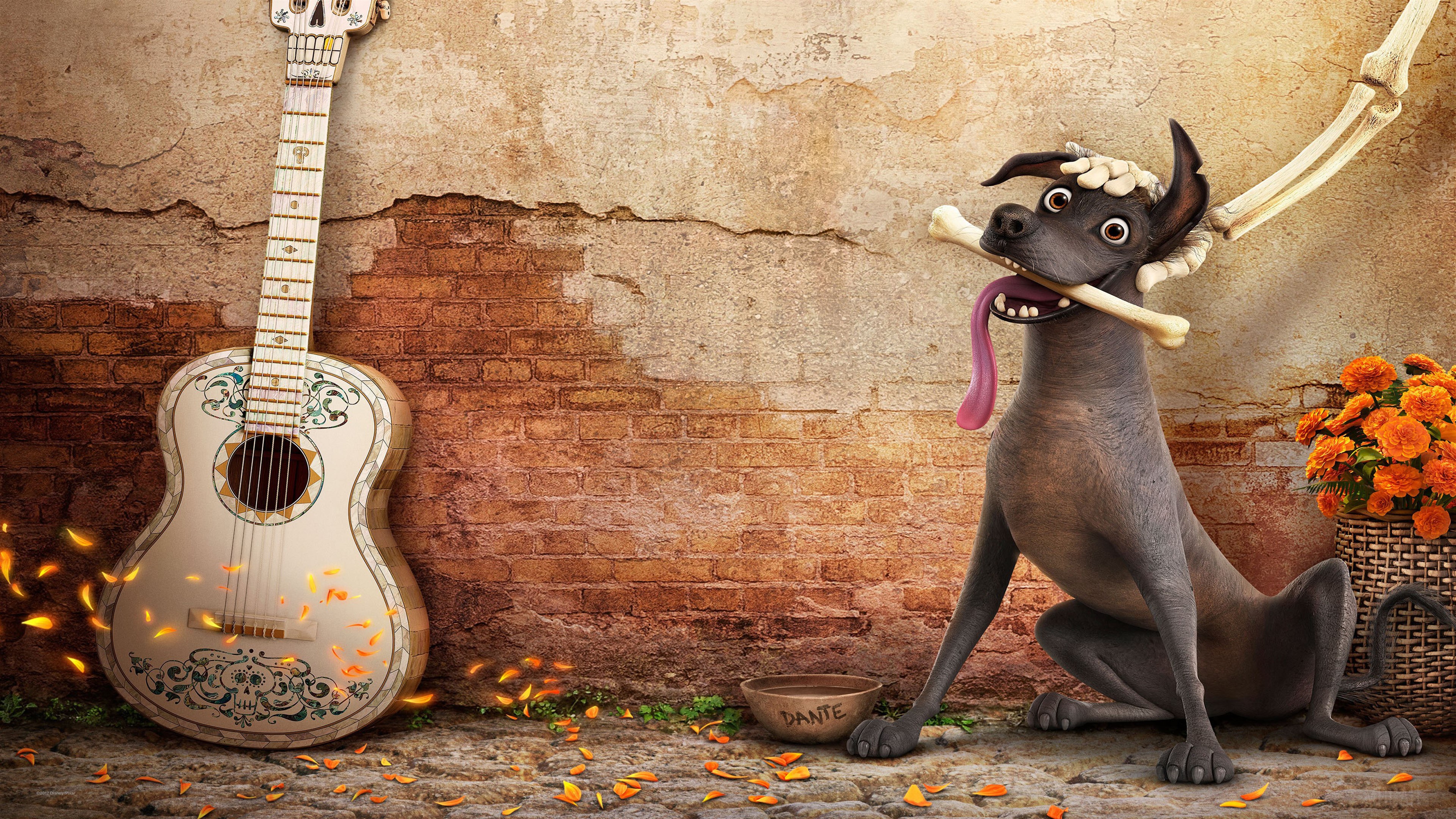 Dante the dog from Coco with a bone HD Wallpaper