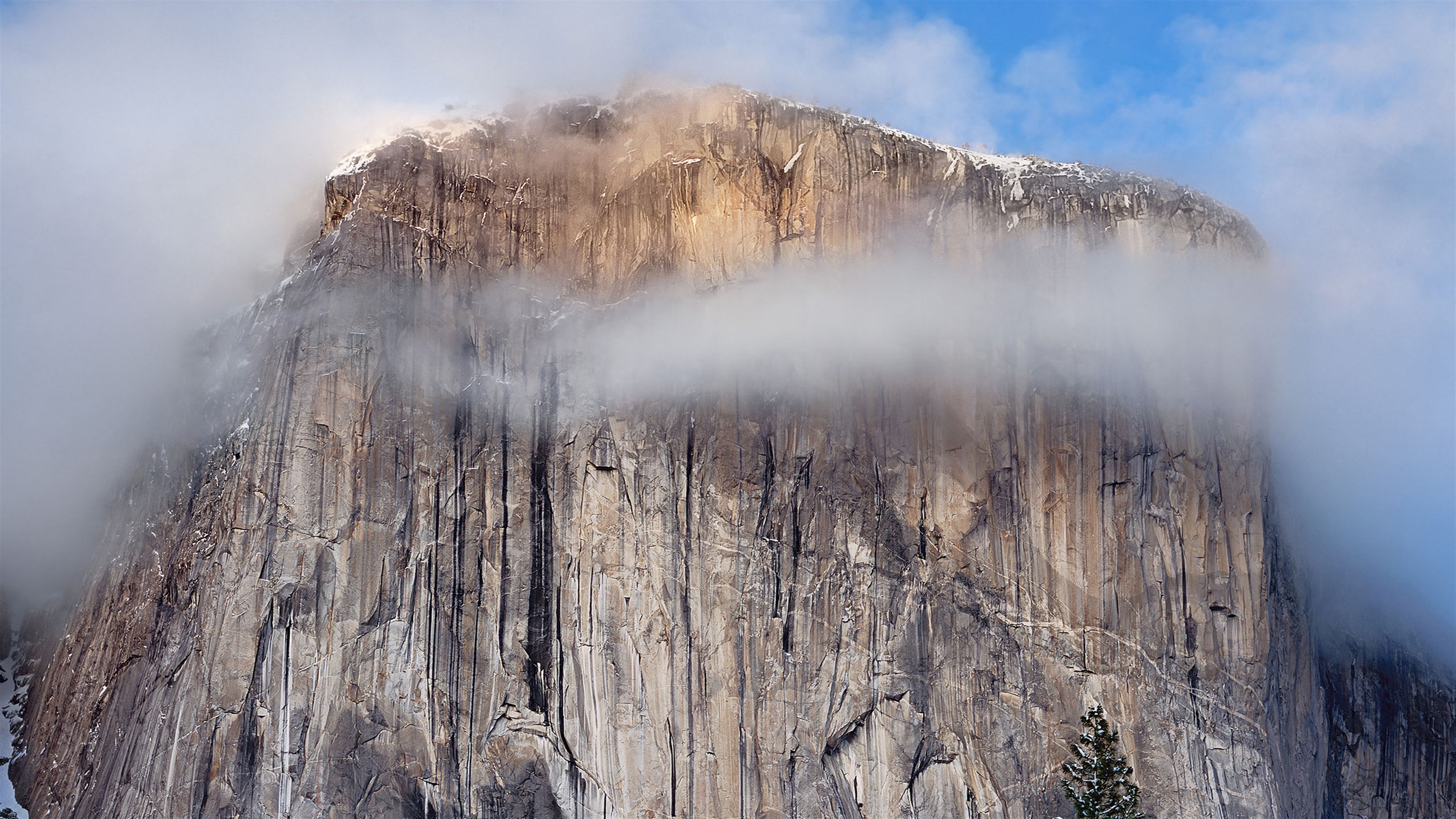 El Capitan Cliff in Yosemite National Park HD Wallpaper