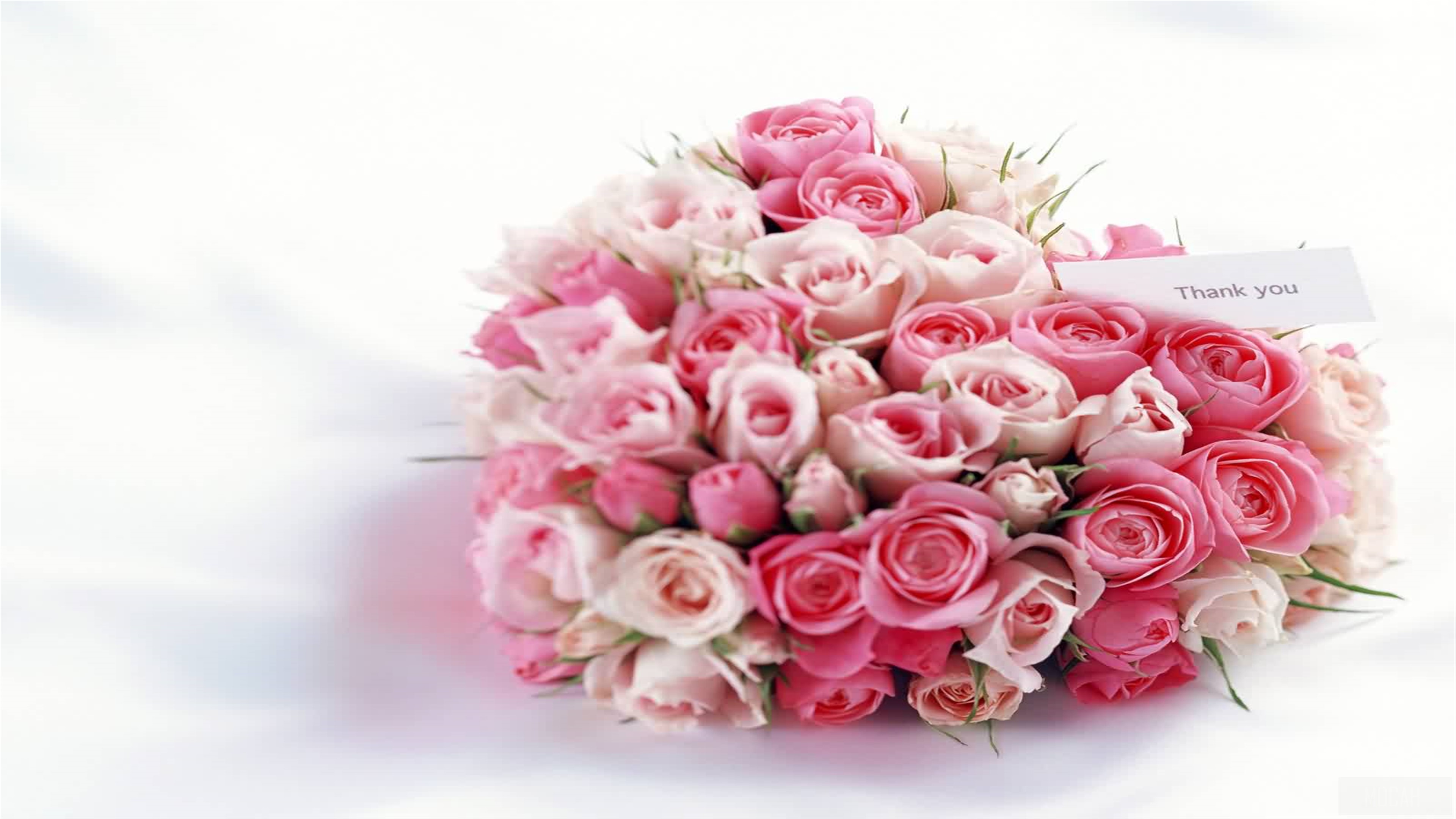 Pink and white roses bouquet with "Thank you" card 4K HD Wallpaper