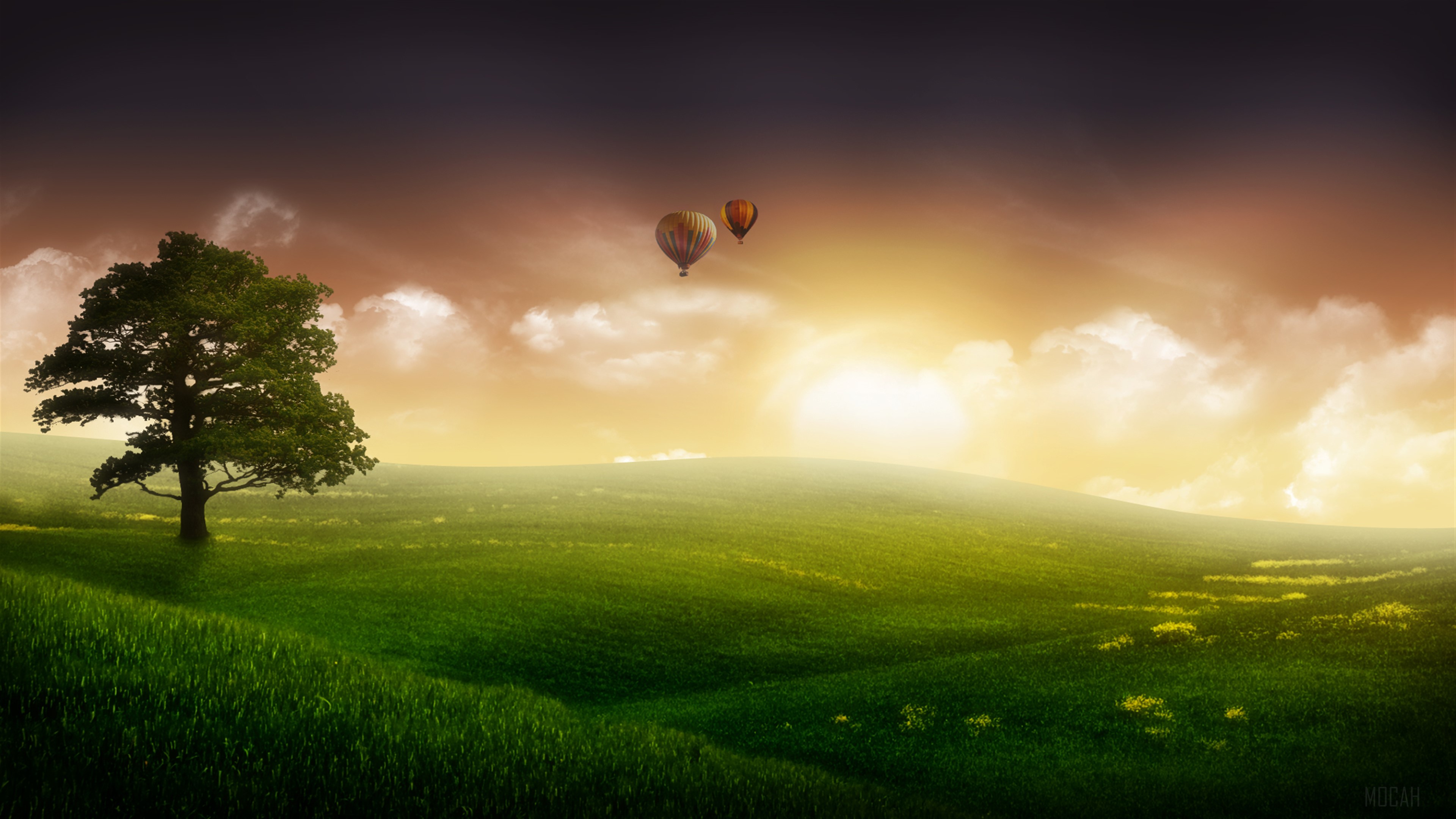 Hot air balloons over rolling hills at sunset HD Wallpaper