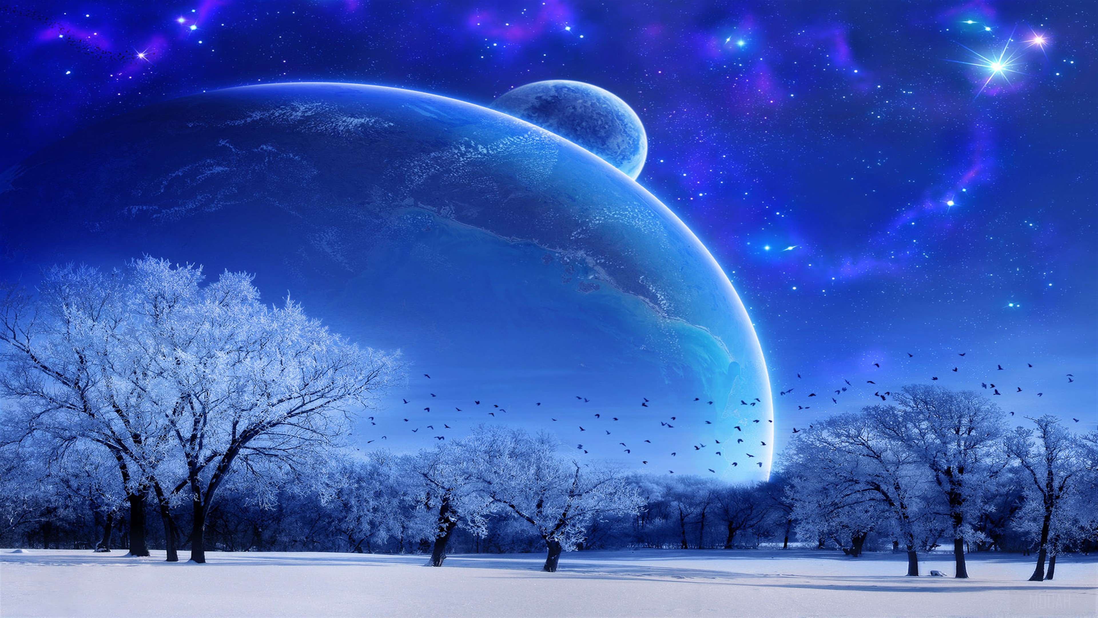 Blue Winter HD Wallpaper