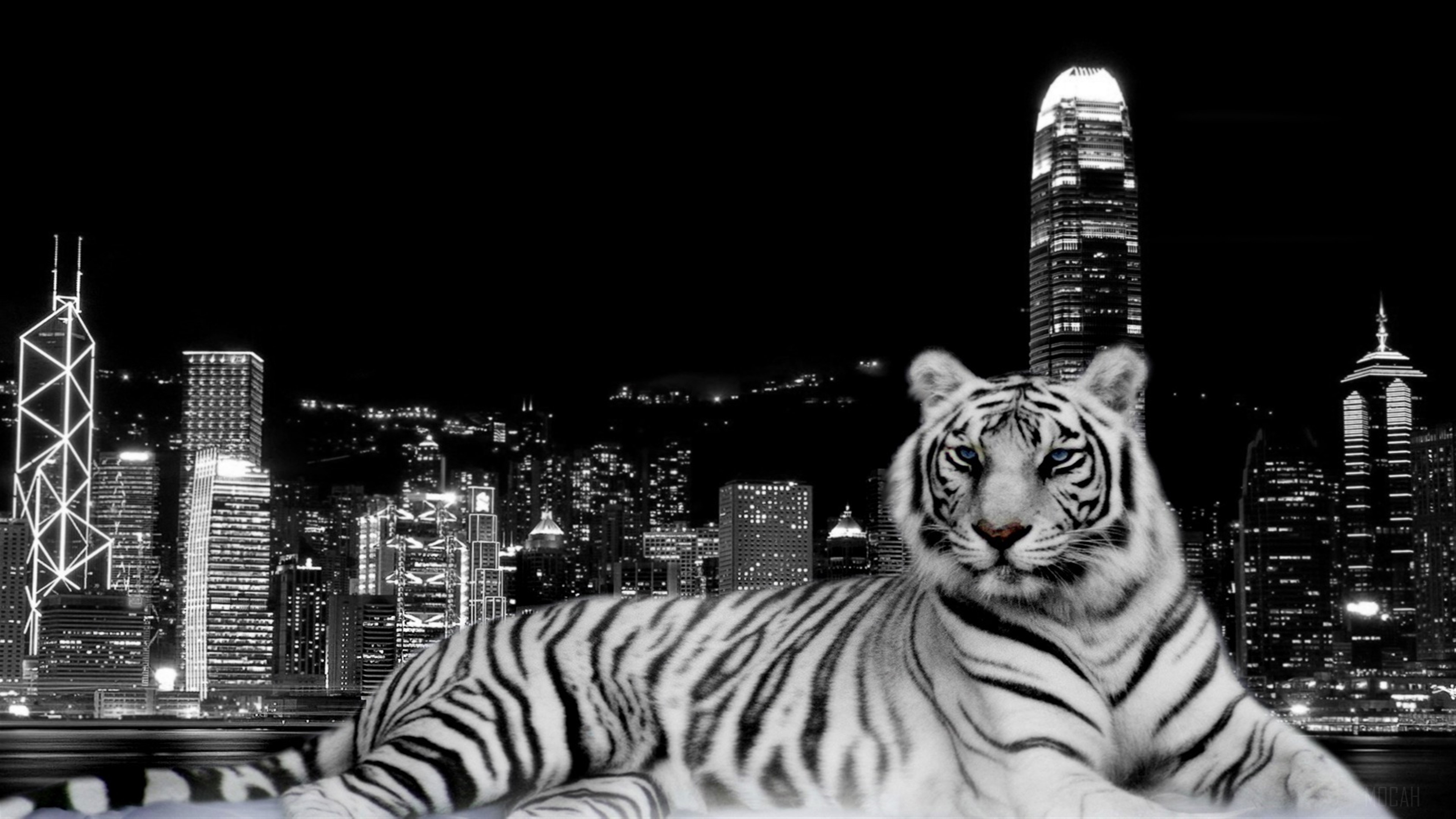 White Tiger in a Cityscape at Night 4K HD Wallpaper