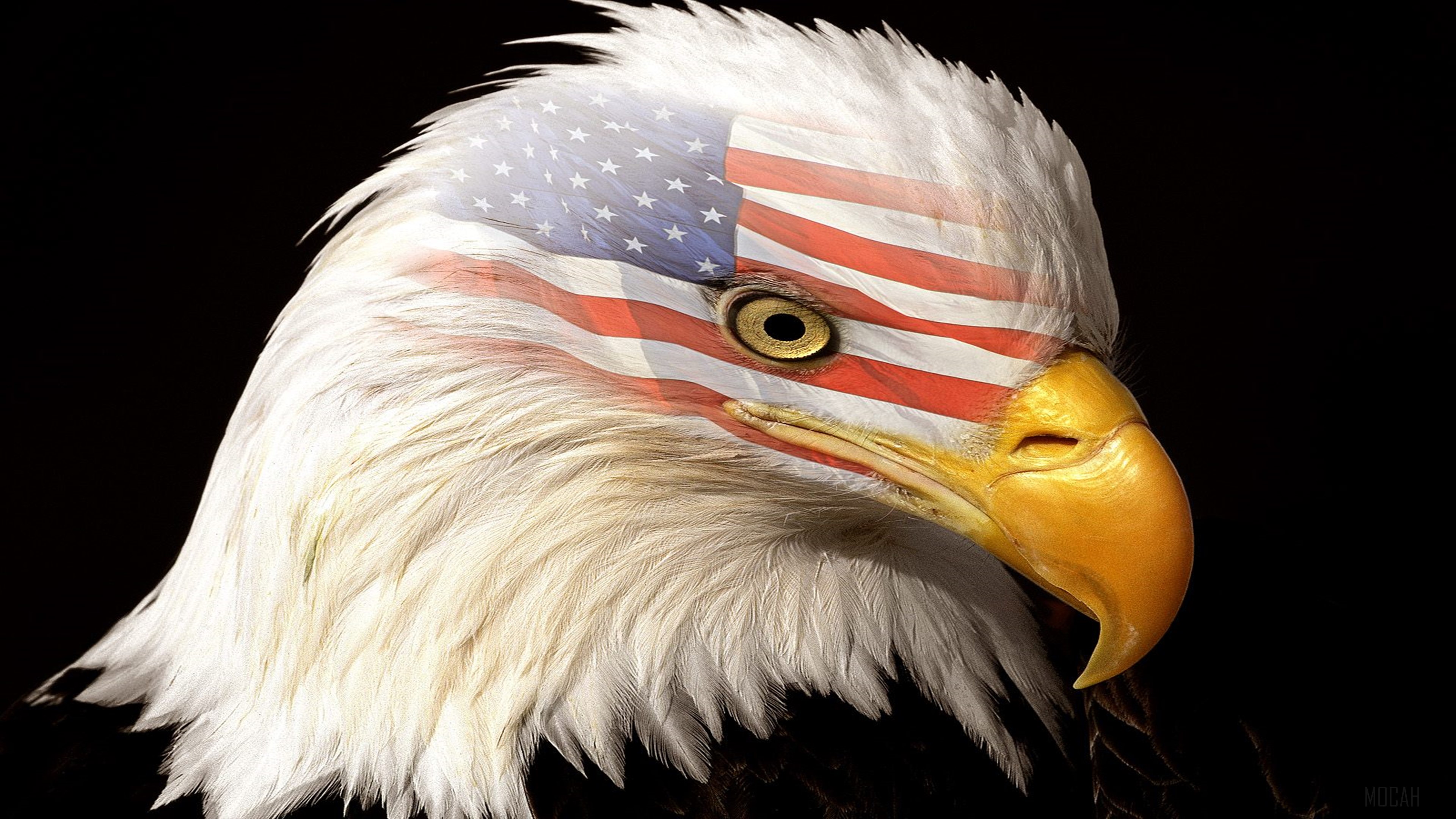 The Patriot HD Wallpaper