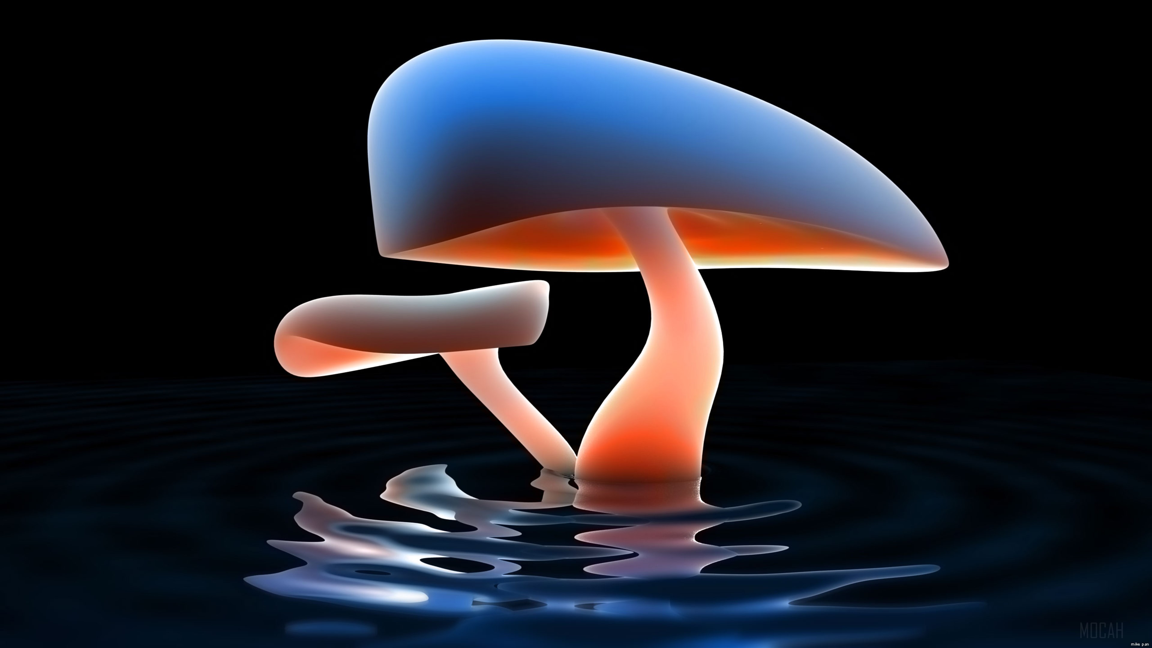Glowing Mushrooms in Water 4K HD Wallpaper
