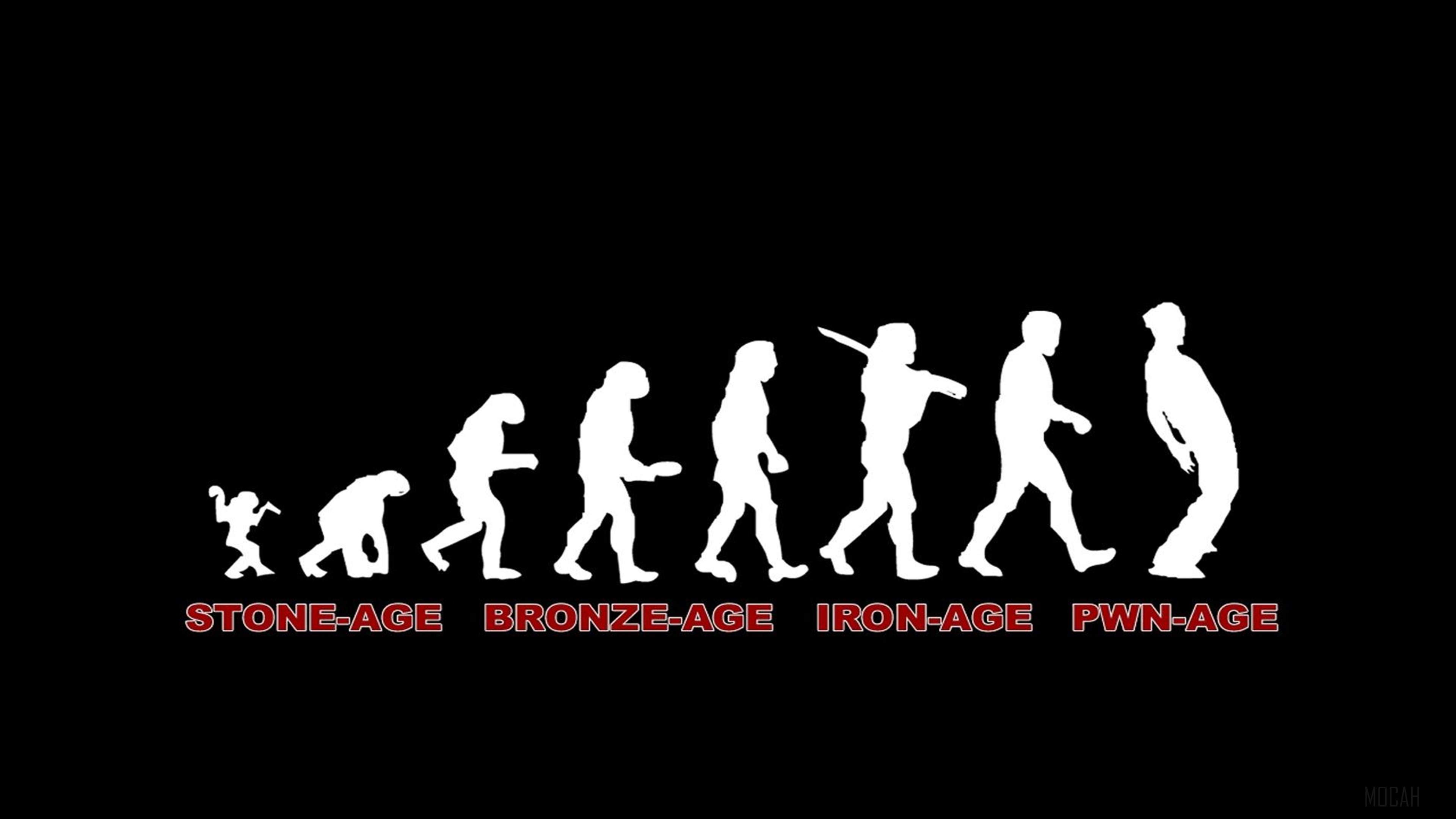 Evolution of Man to PWN-AGE HD Wallpaper