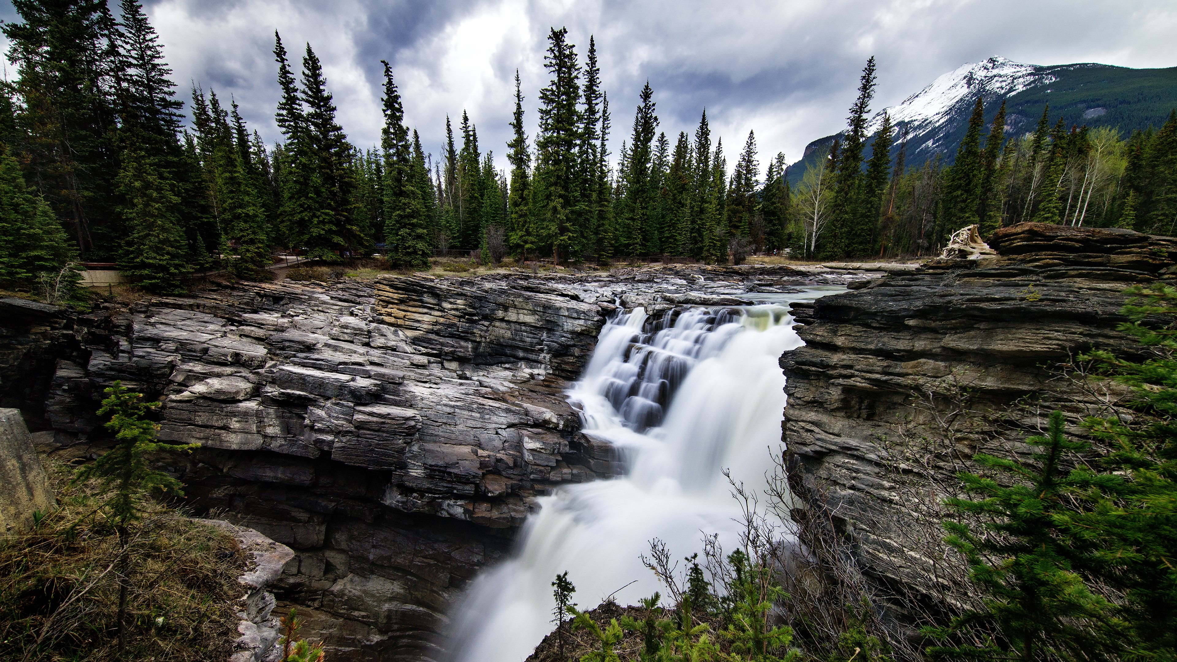 Waterfall cascading over layered rocks with pine forest and snowy mountain HD Wallpaper