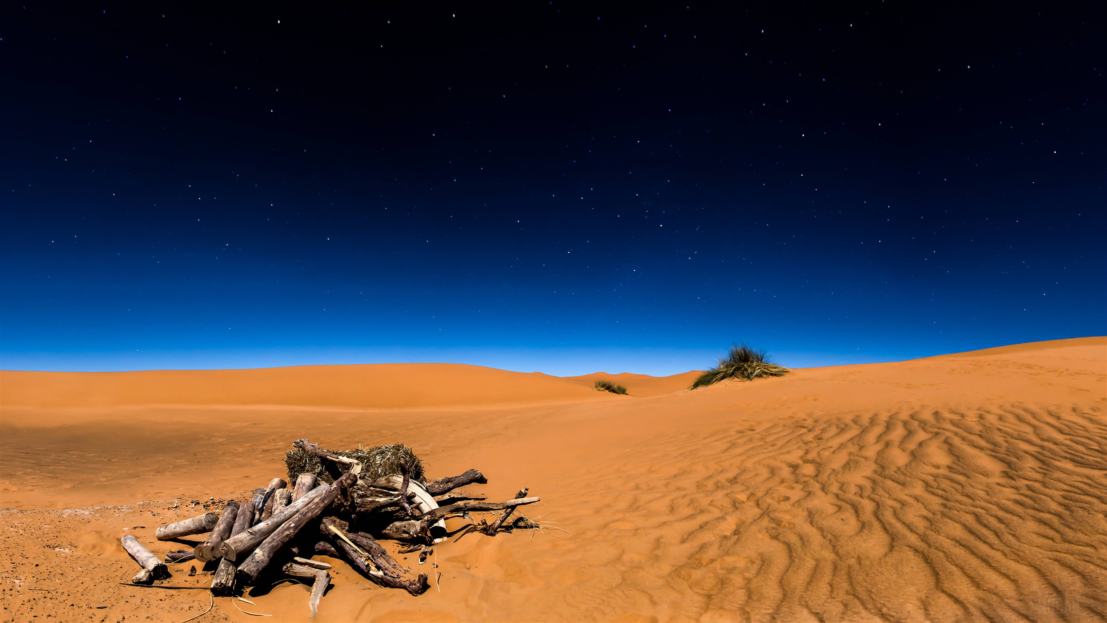 Desert dunes under starry night sky HD Wallpaper