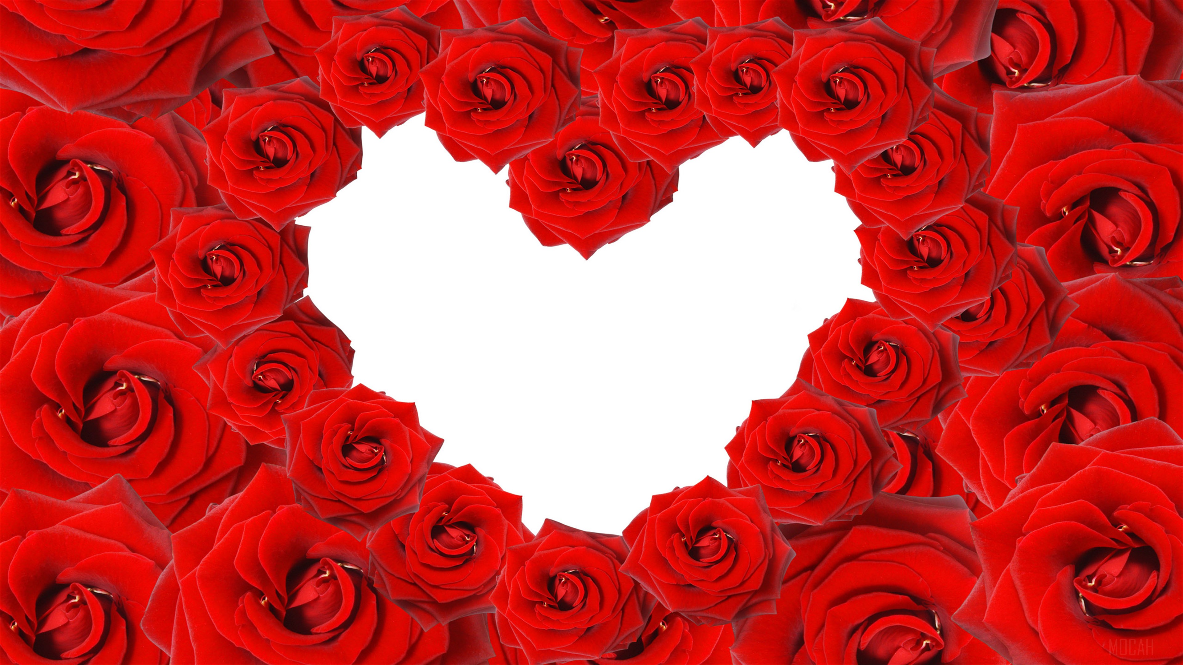 Red Roses forming a Love Heart 4K HD Wallpaper