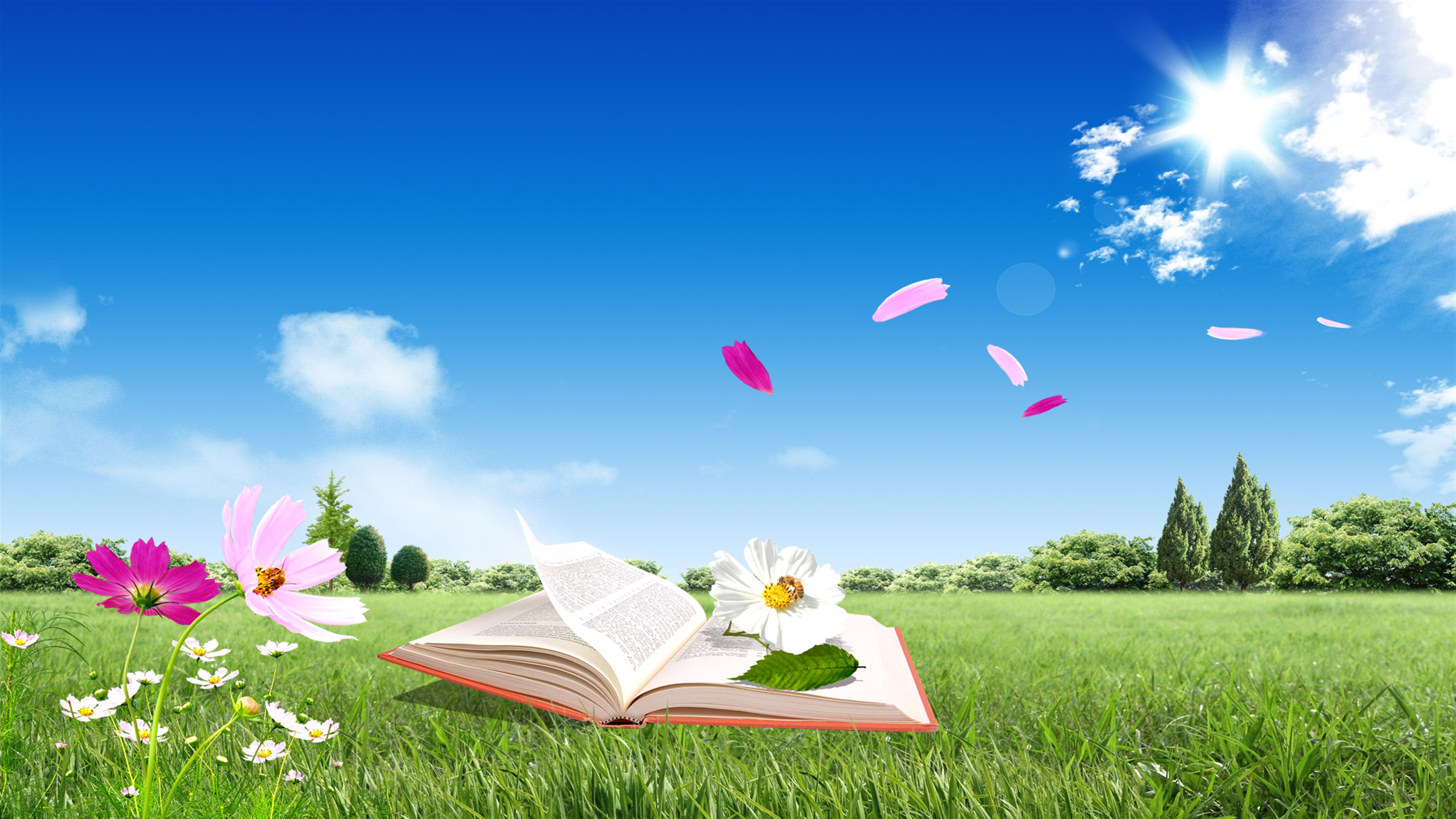 Open book in a grassy field with flowers and blue sky HD Wallpaper