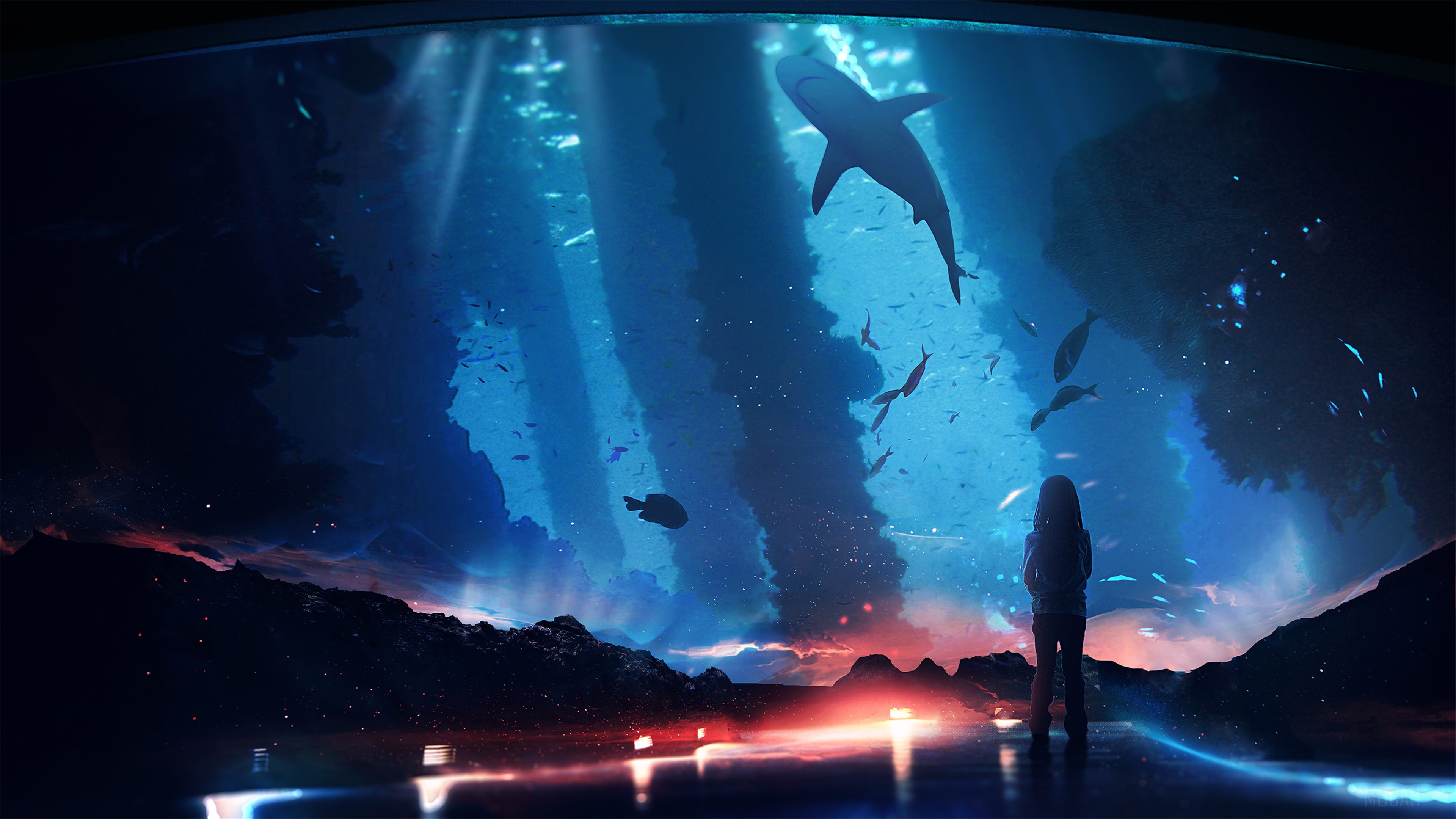 Girl watching shark and fish in aquarium 4K HD Wallpaper