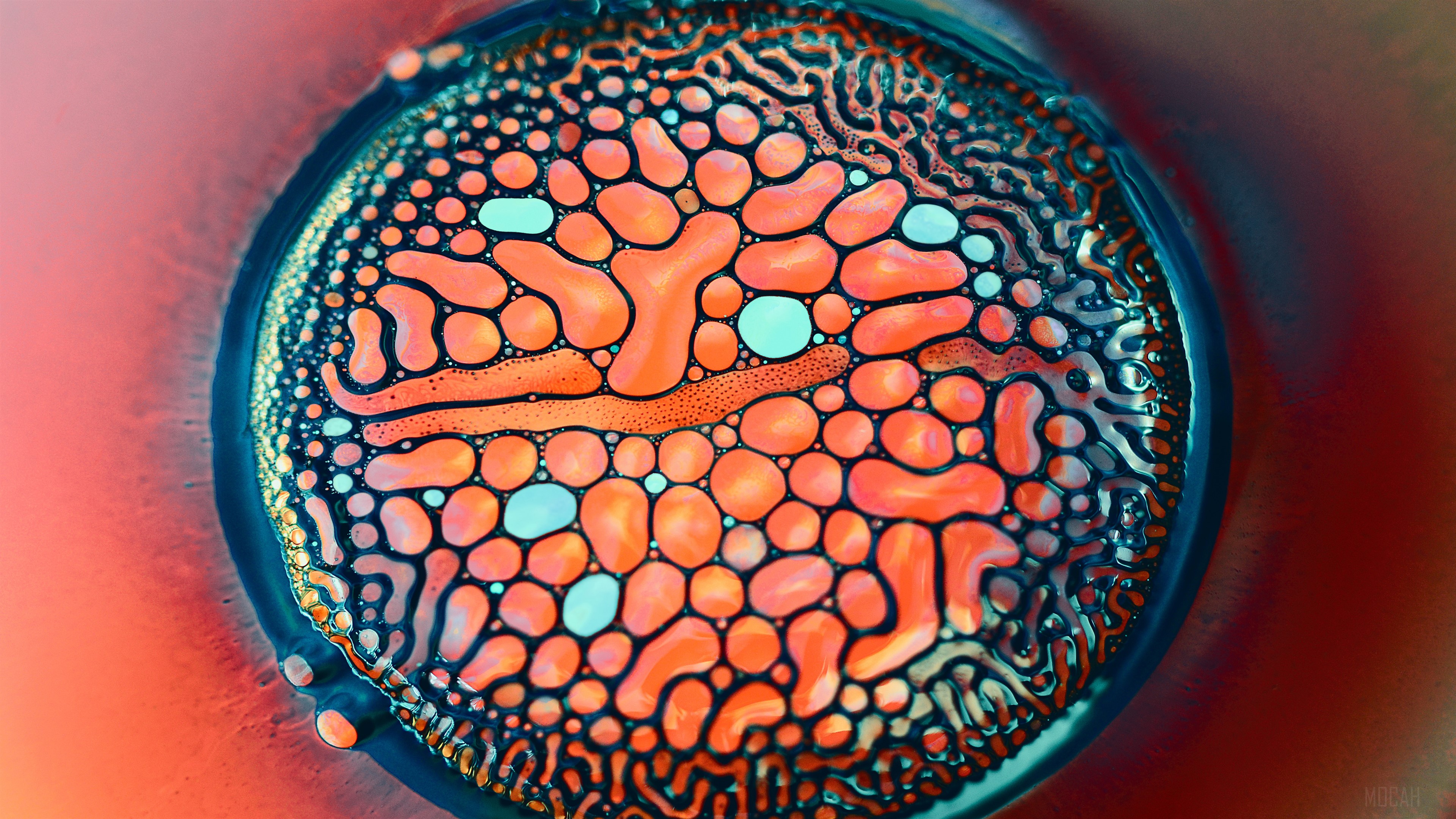 Metalliferous HD Wallpaper