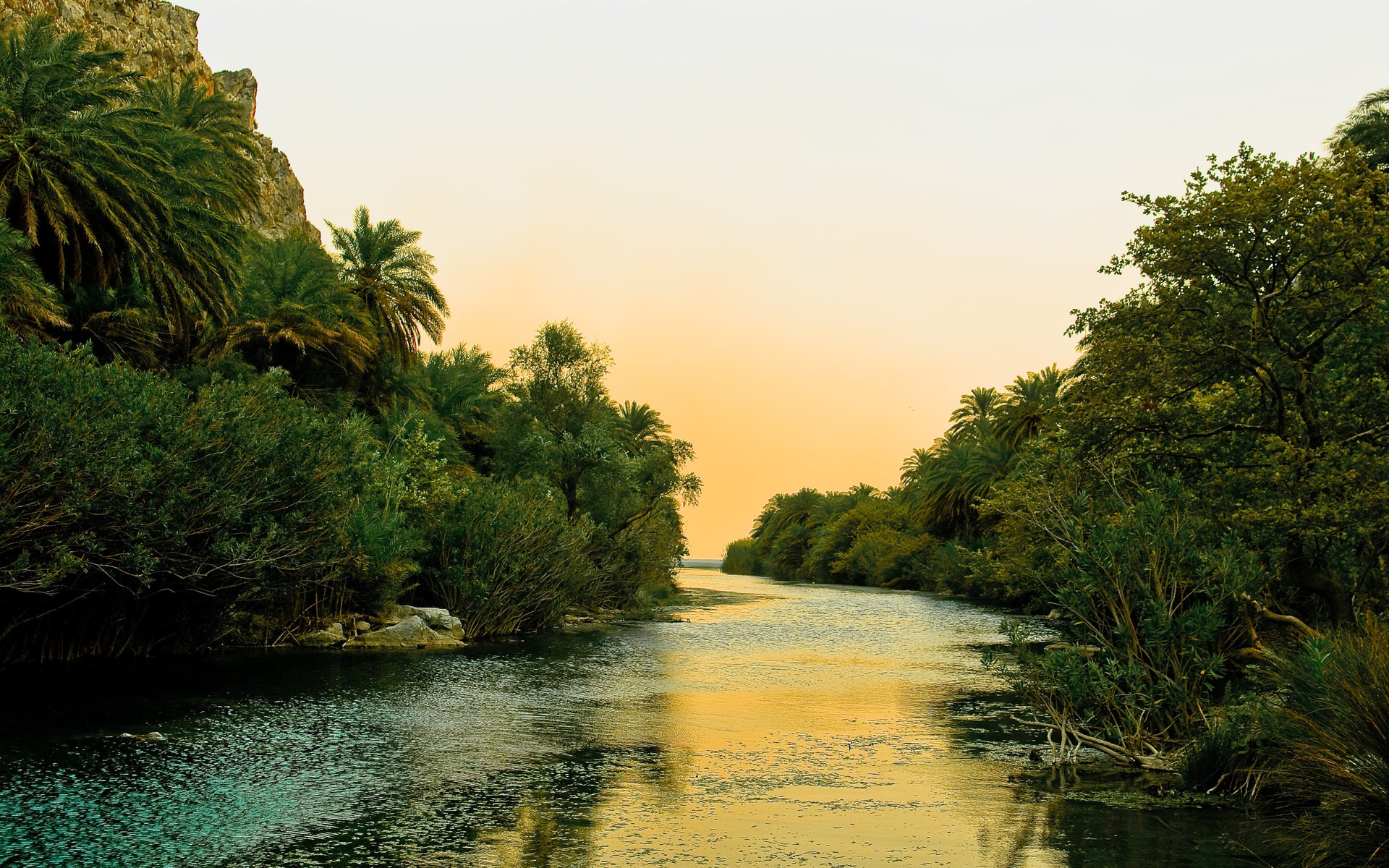 River flowing through a palm-lined canyon at sunset HD Wallpaper
