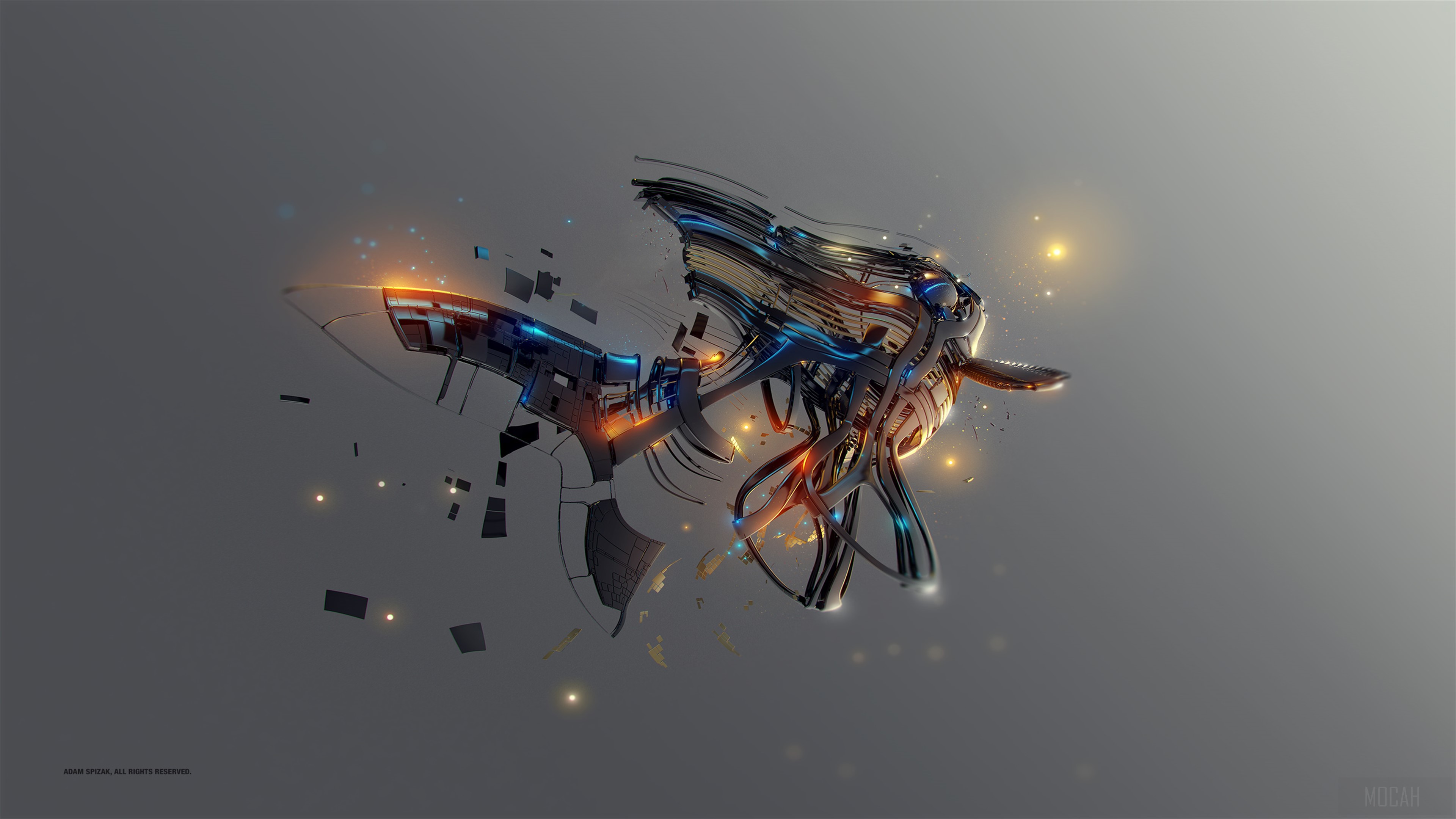 Dark Fish HD Wallpaper