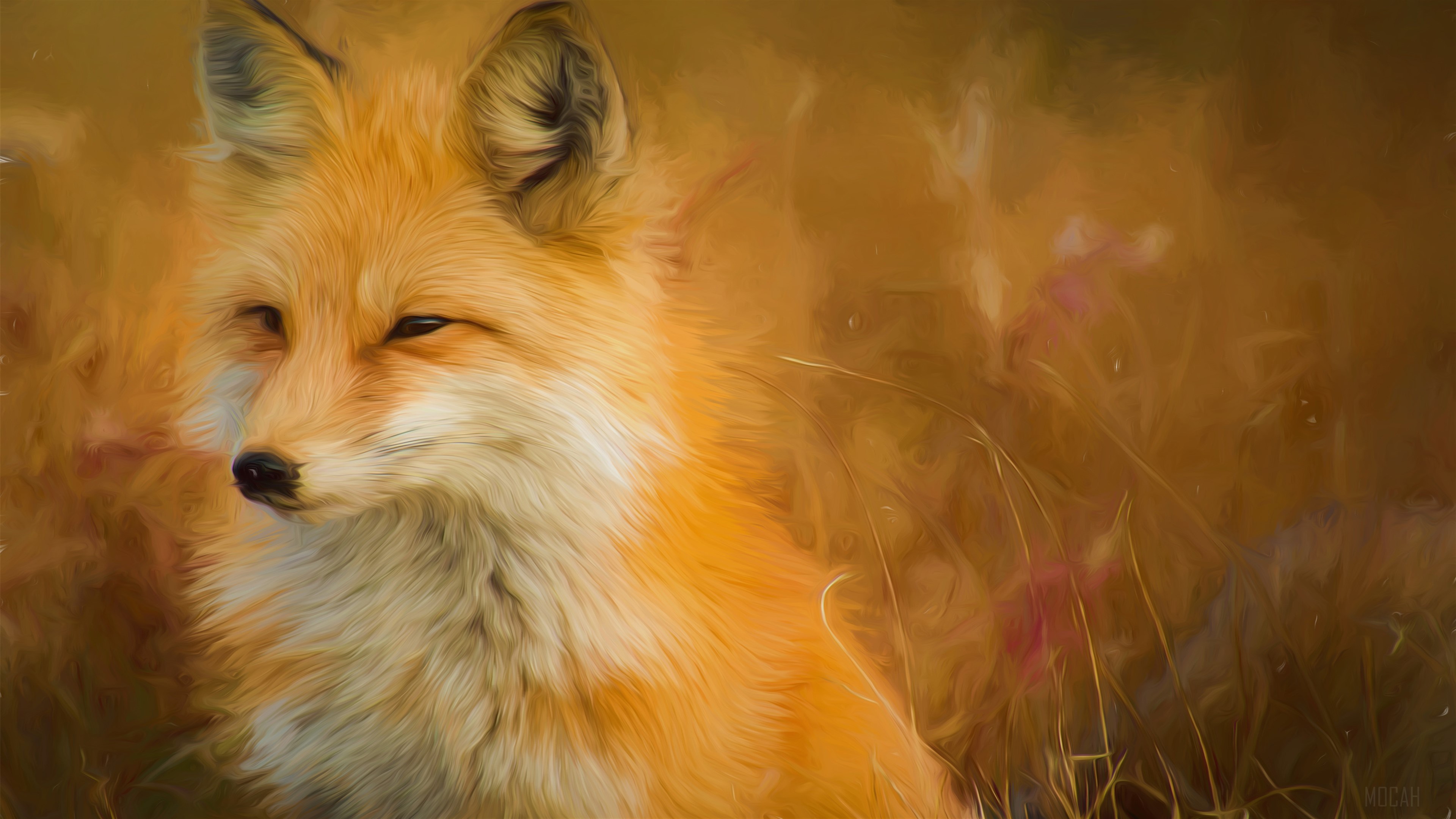 Fox Paint Artwork HD Wallpaper