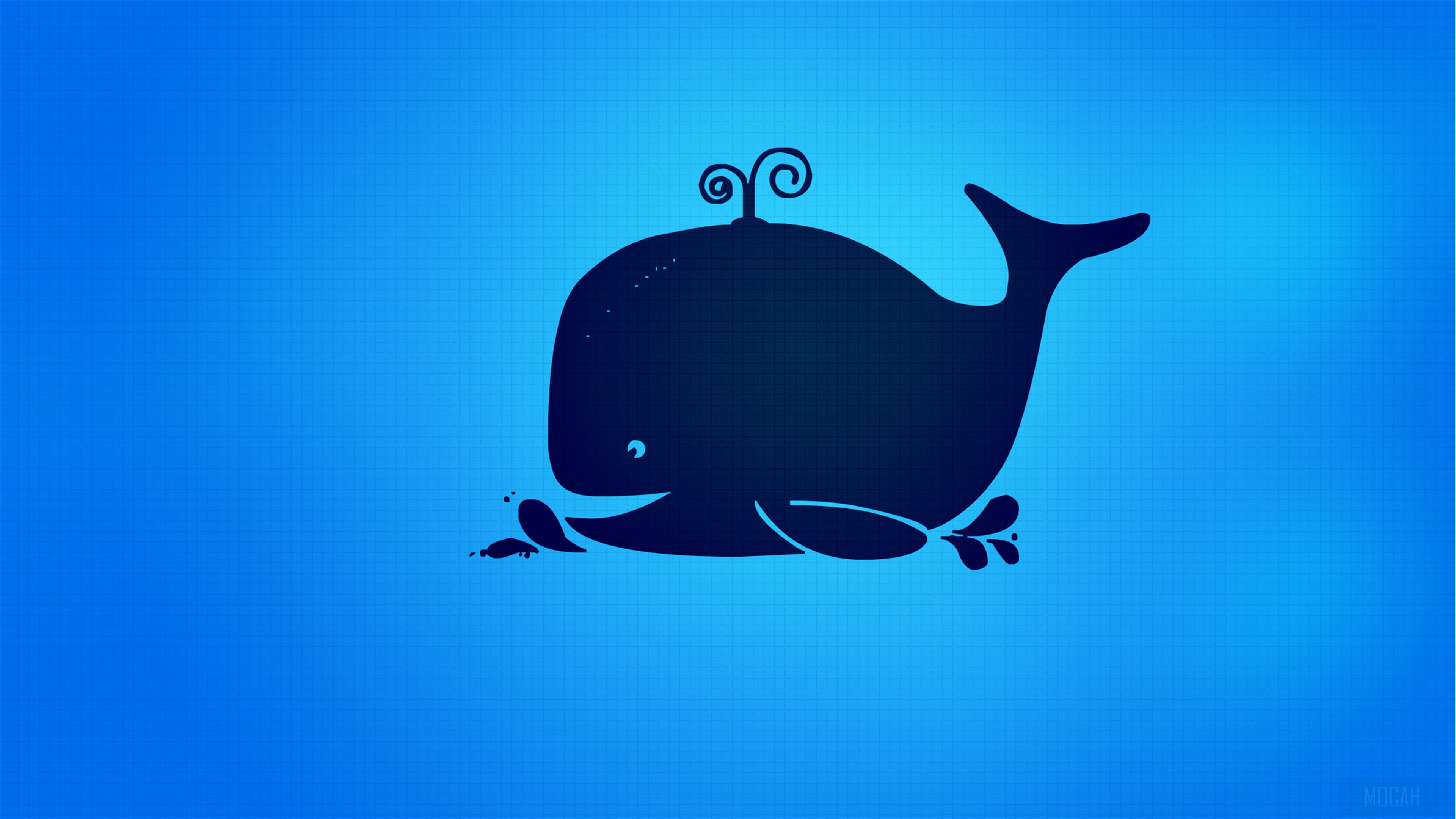 Blue whale HD Wallpaper