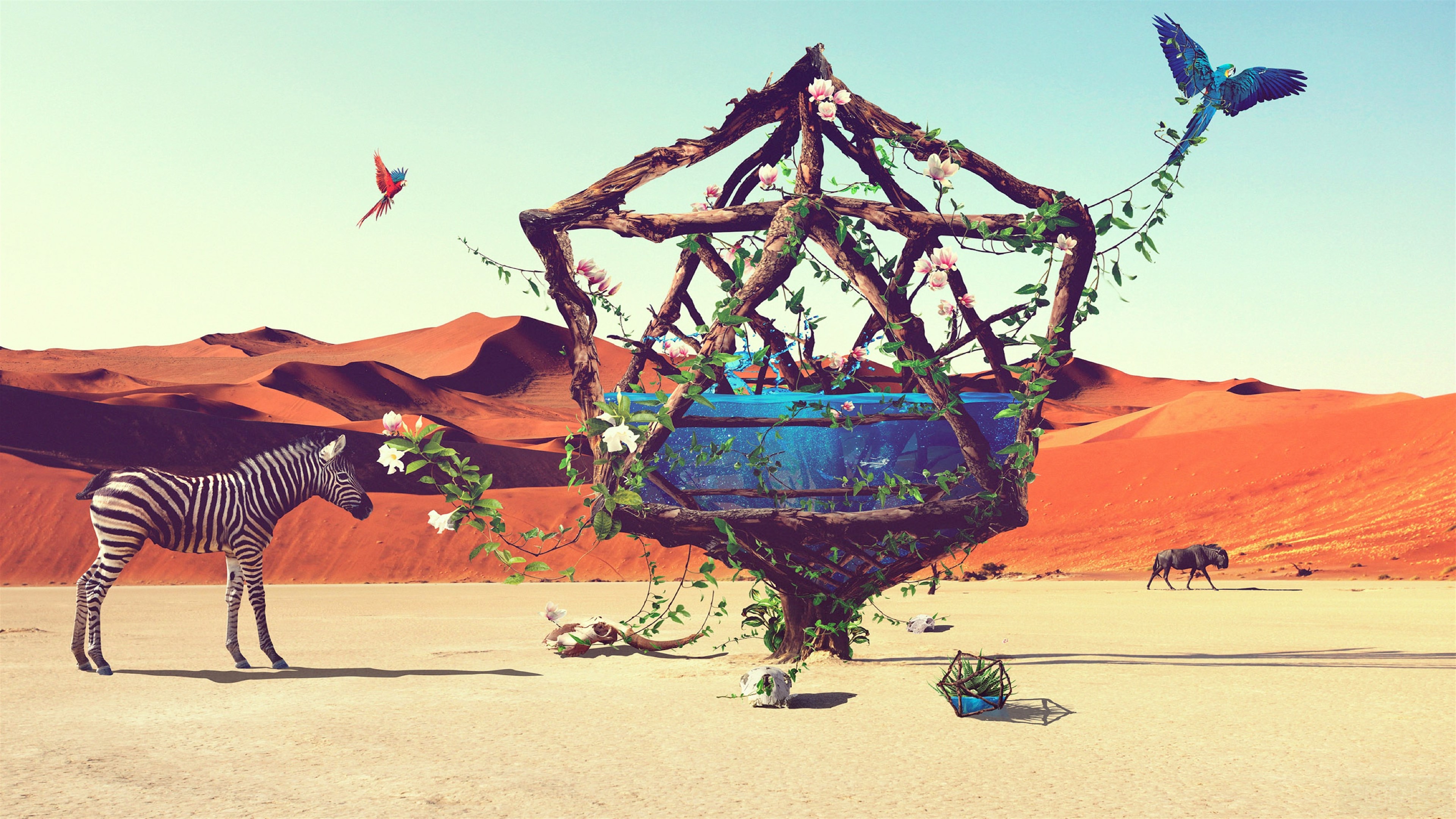 Life in Desert HD Wallpaper