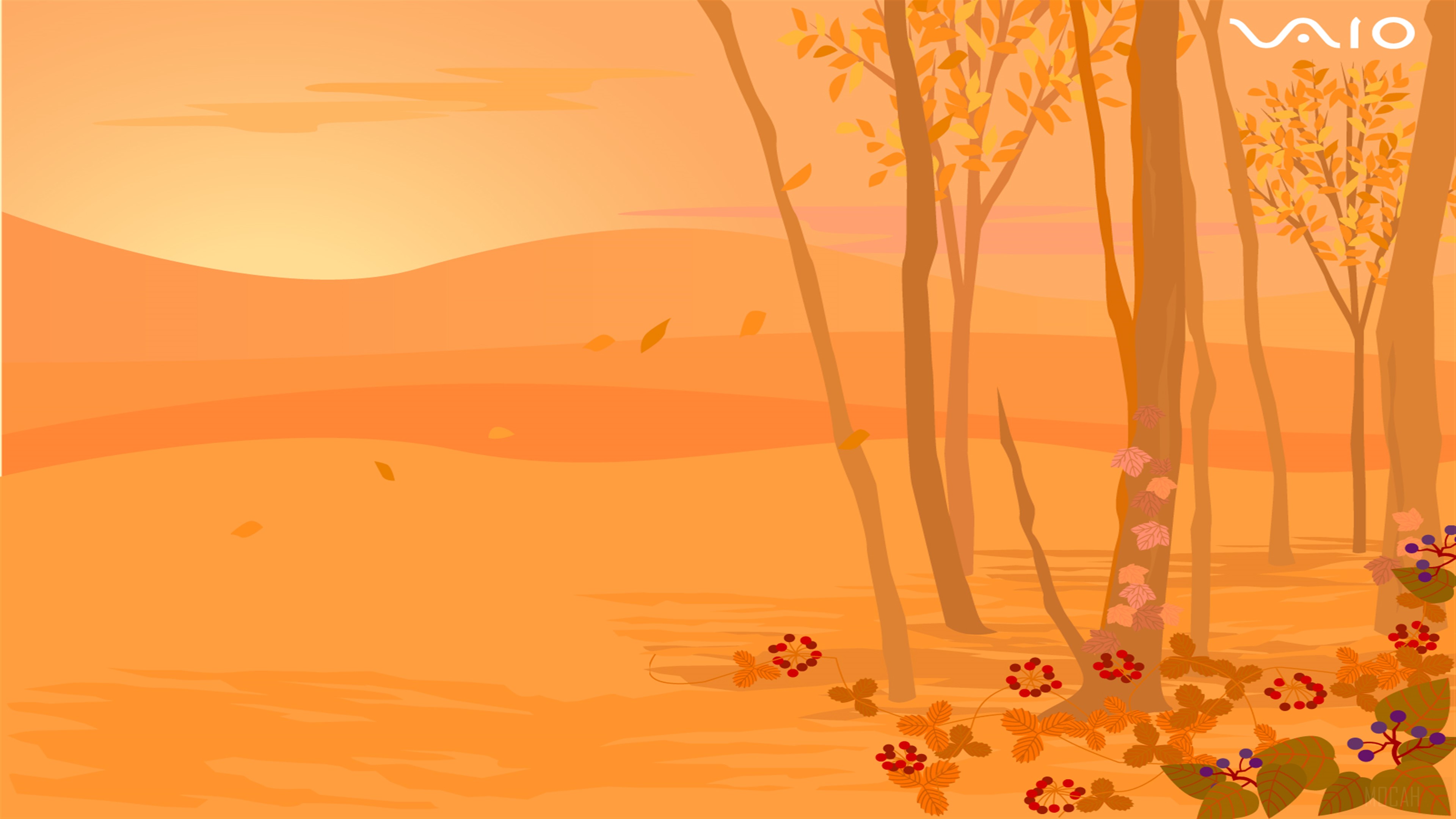 Sony VAIO 11 4K Autumn Forest HD Wallpaper