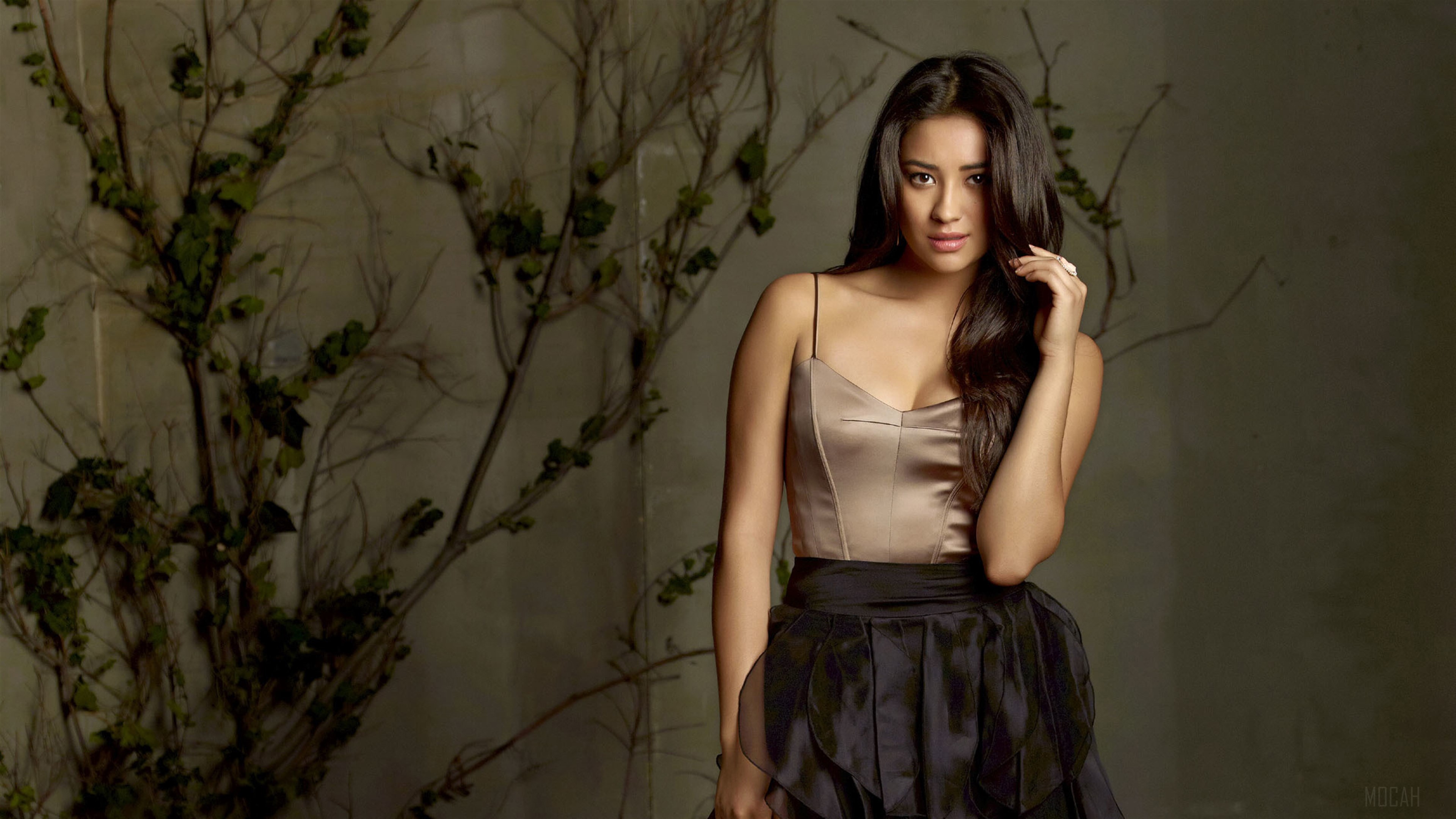 Shay Mitchell HD Wallpaper
