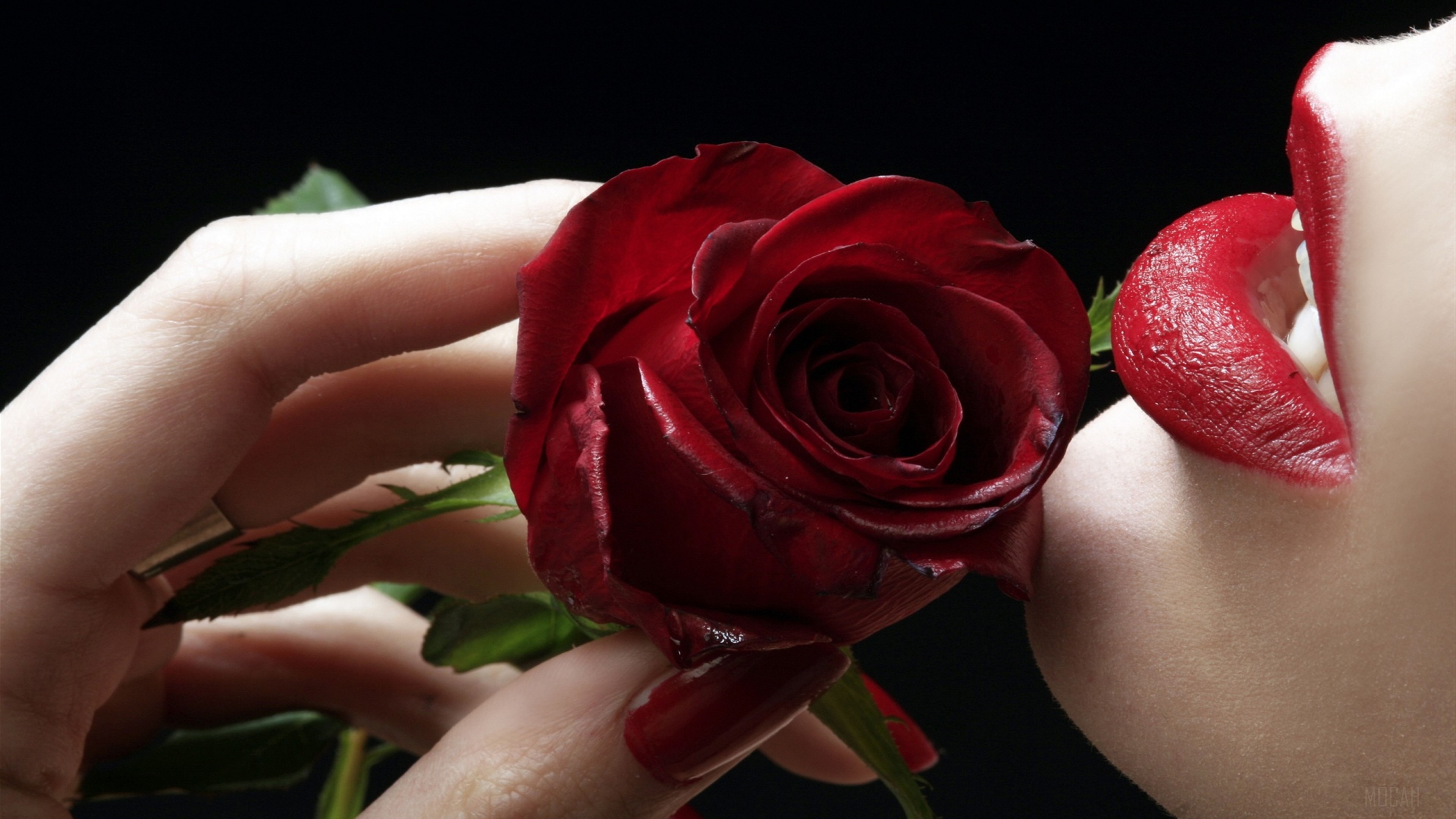 Red Rose and Red Lips HD Wallpaper