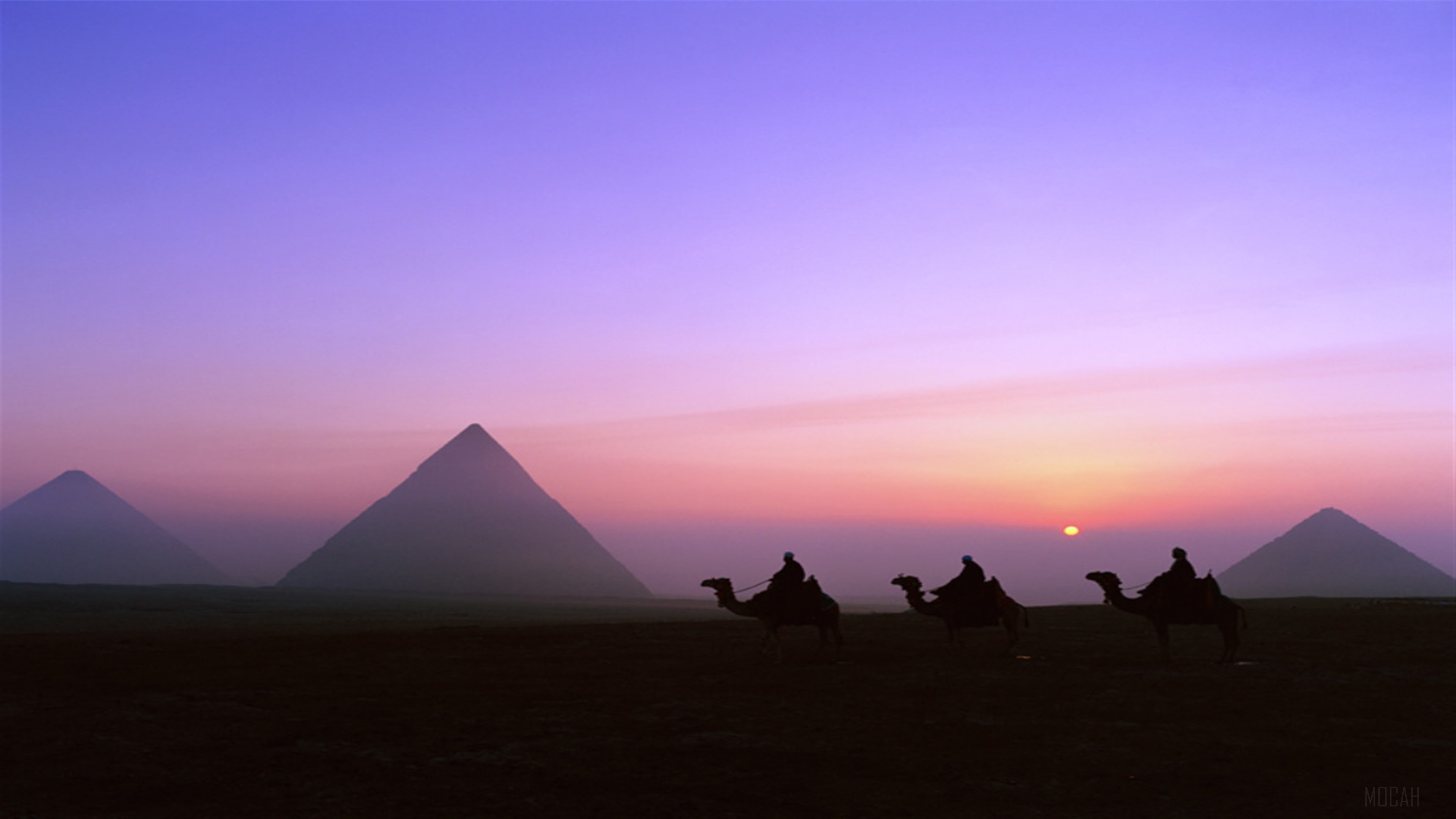 Camels and Pyramids at Sunset 4K HD Wallpaper