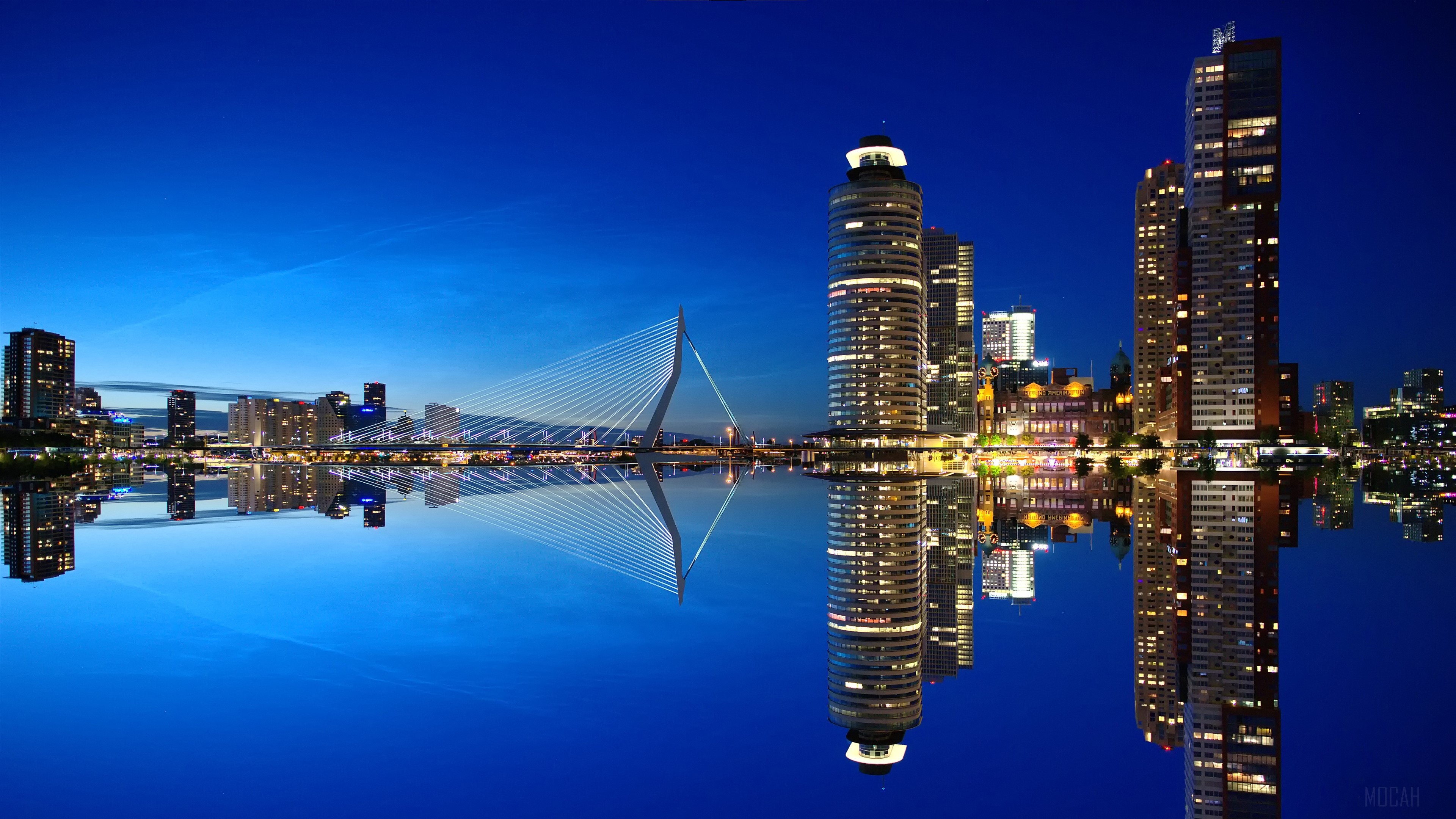 Rotterdam Netherlands Skyline with Erasmus Bridge at Night 4K HD Wallpaper