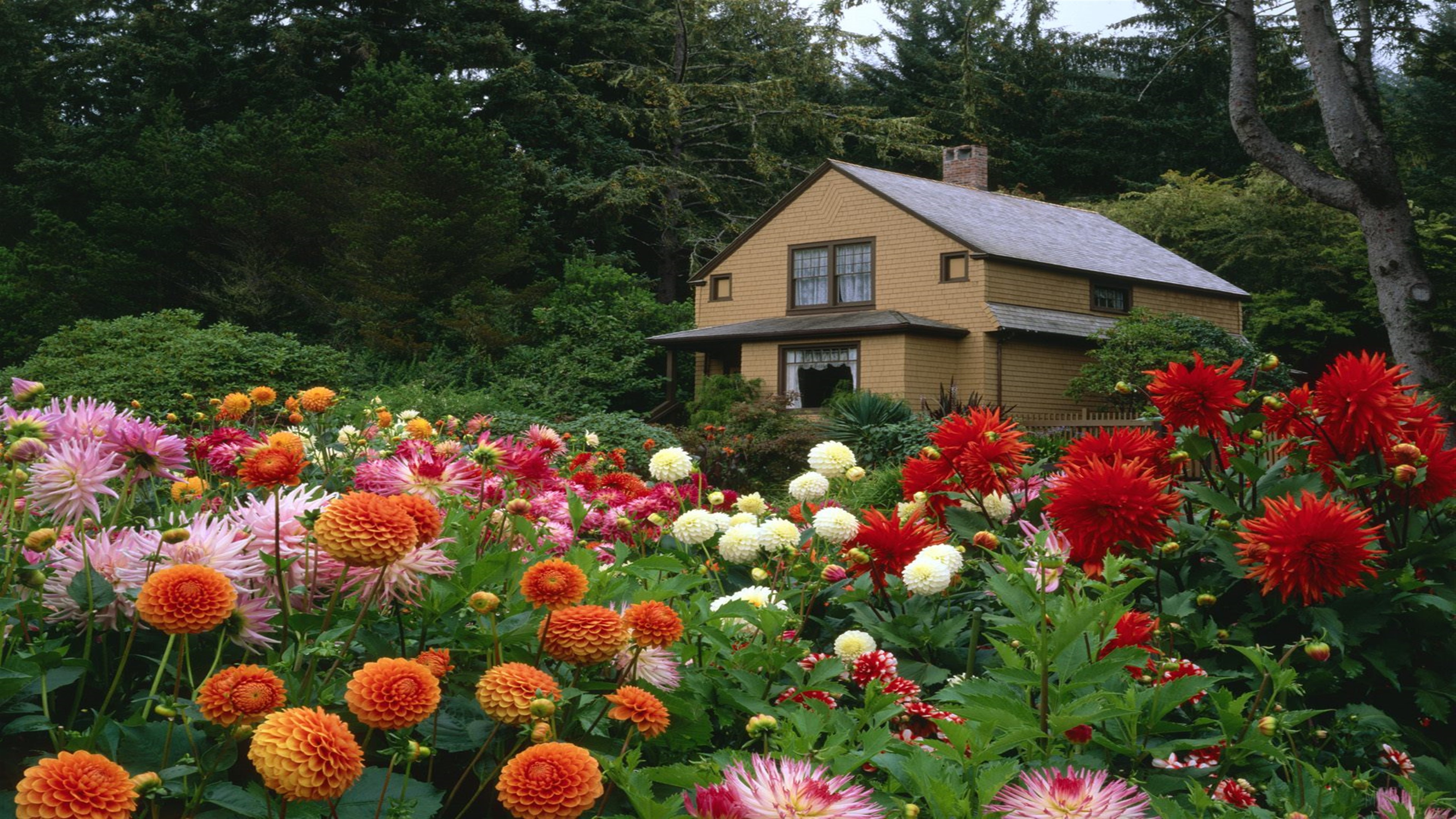 Garden House in Oregon 4K HD Wallpaper