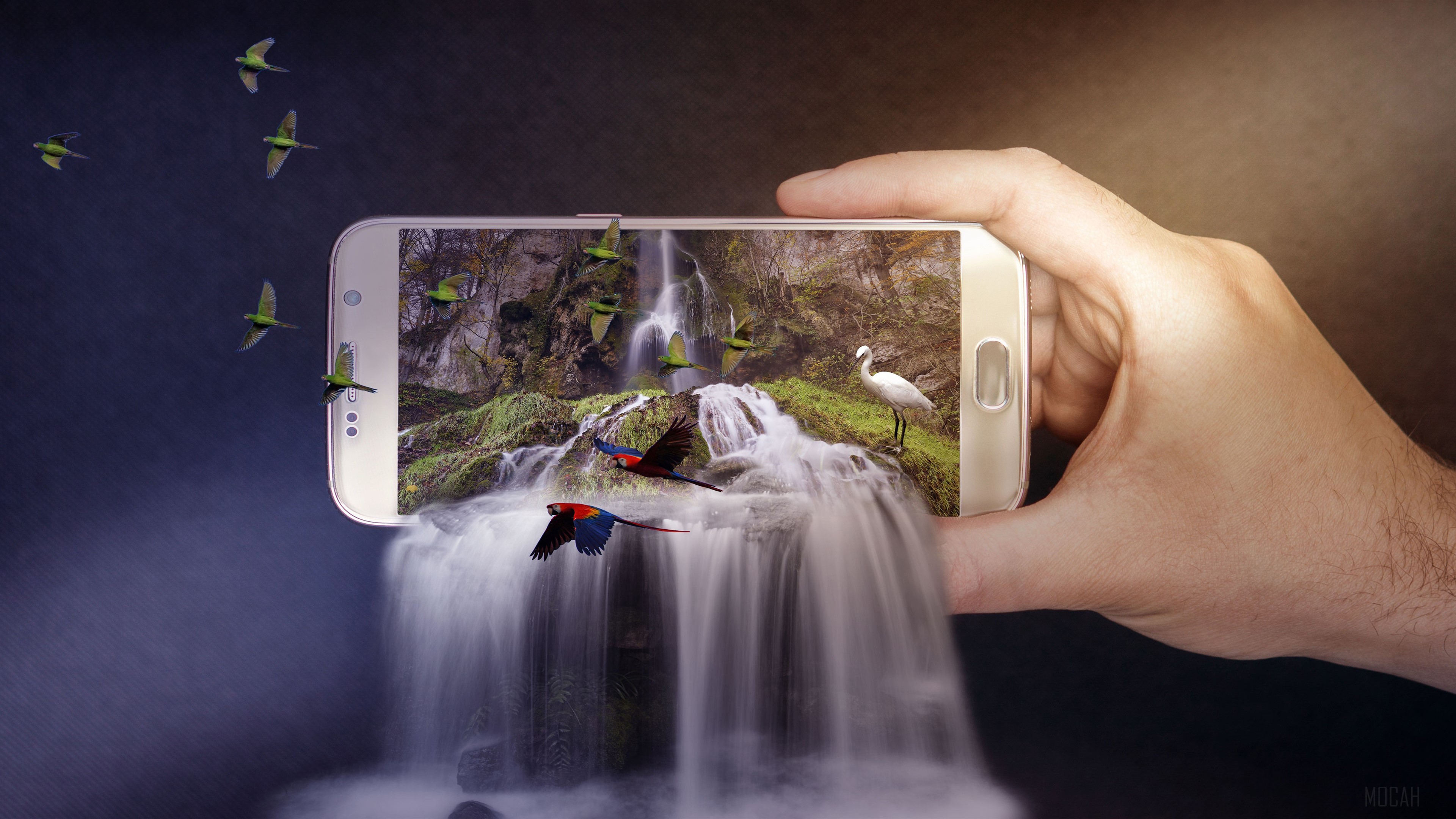 Smartphone displaying a waterfall with birds and a heron HD Wallpaper