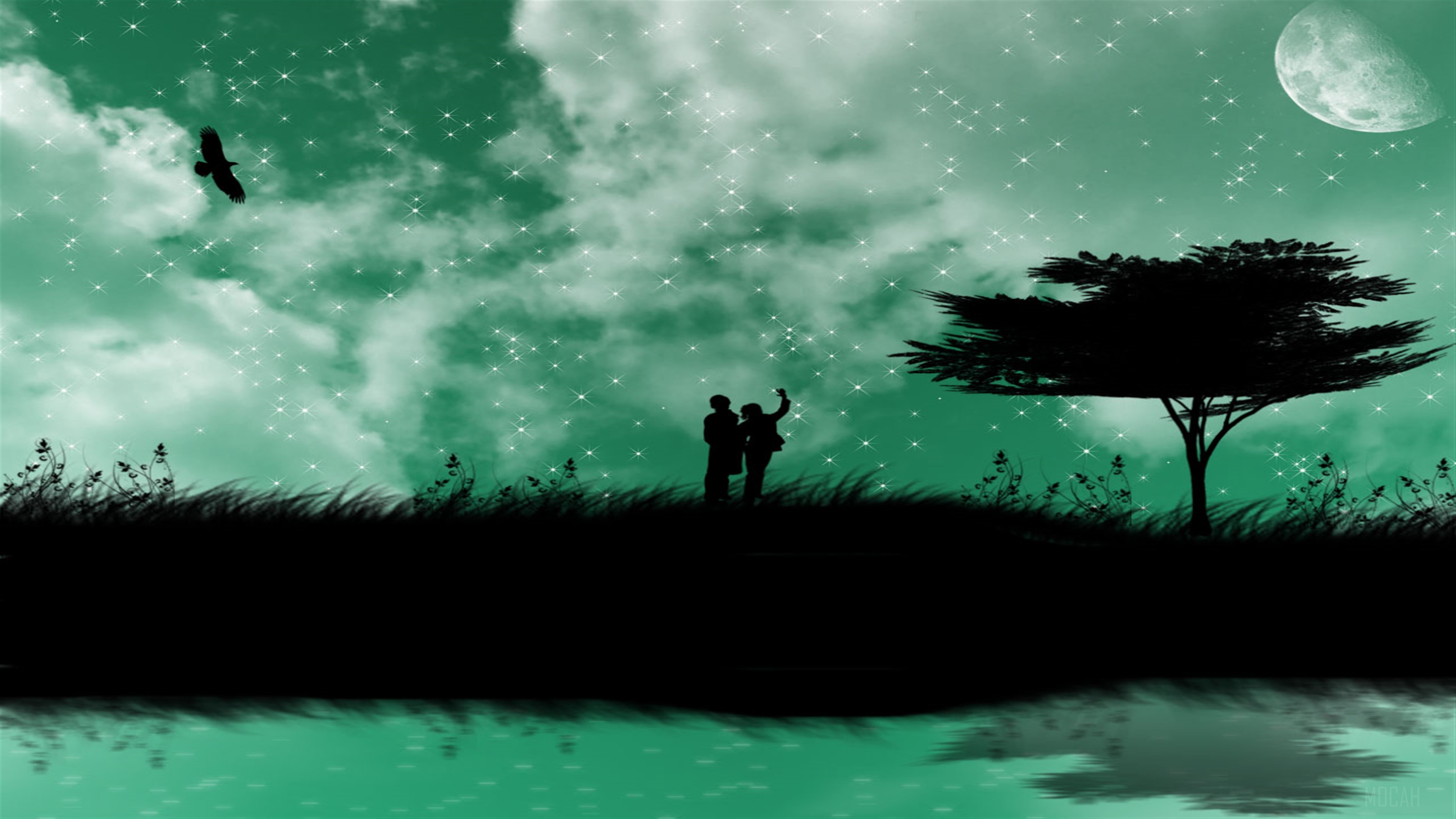 Couple under starry sky with moon and eagle HD Wallpaper