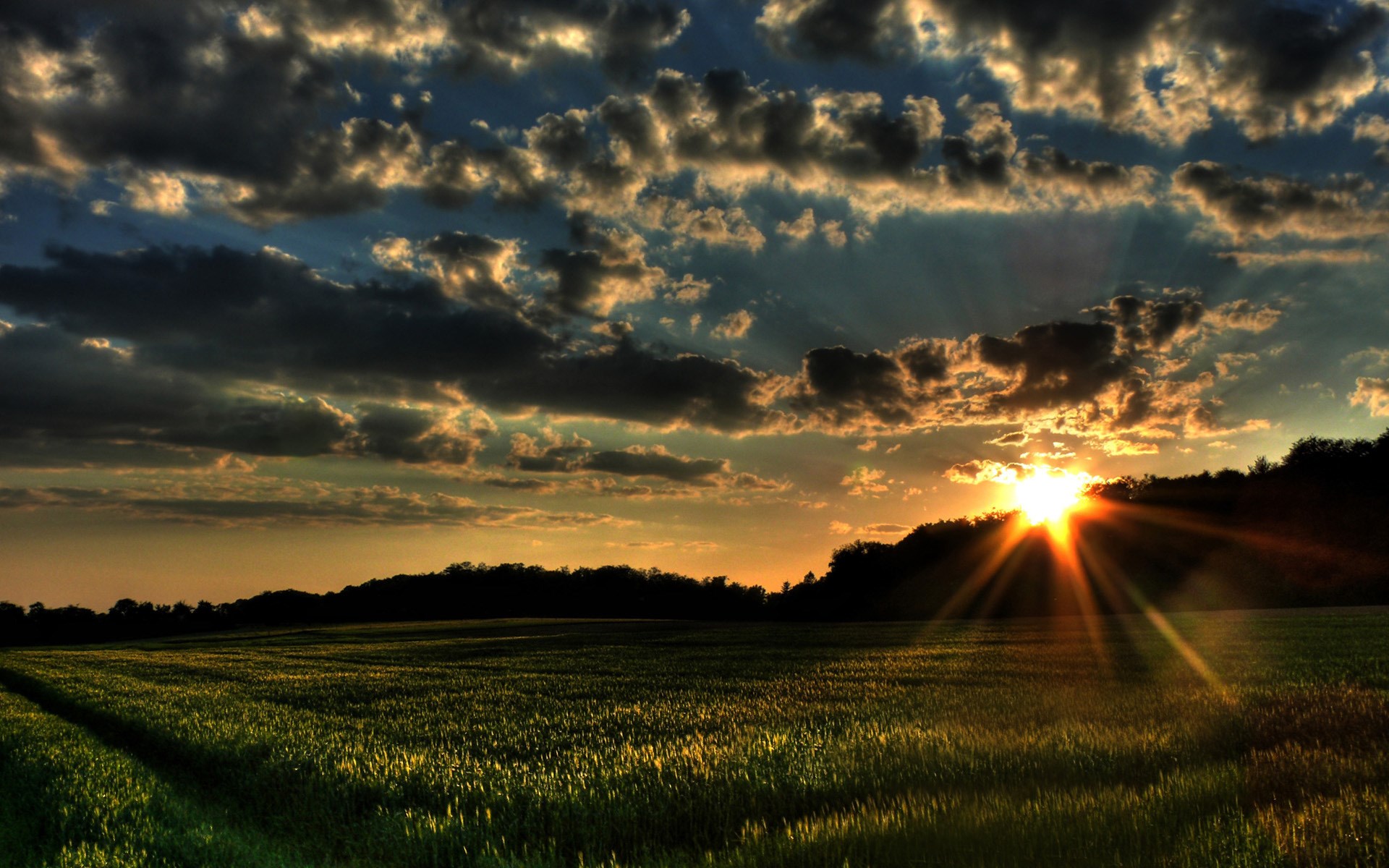 Sunset over a field with dramatic clouds HD Wallpaper